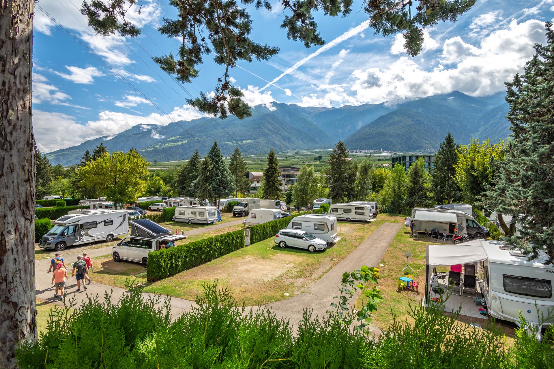 Camping Latsch an der Etsch Latsch 9 suedtirol.info