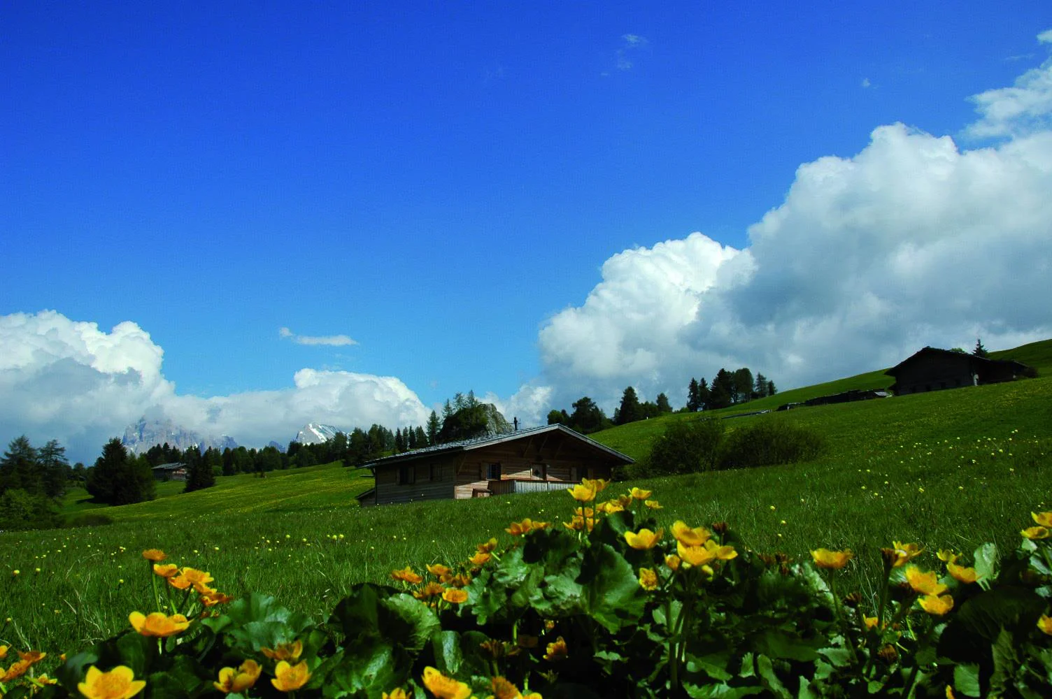 Chalet Seiser Alm Castelrotto 8 suedtirol.info