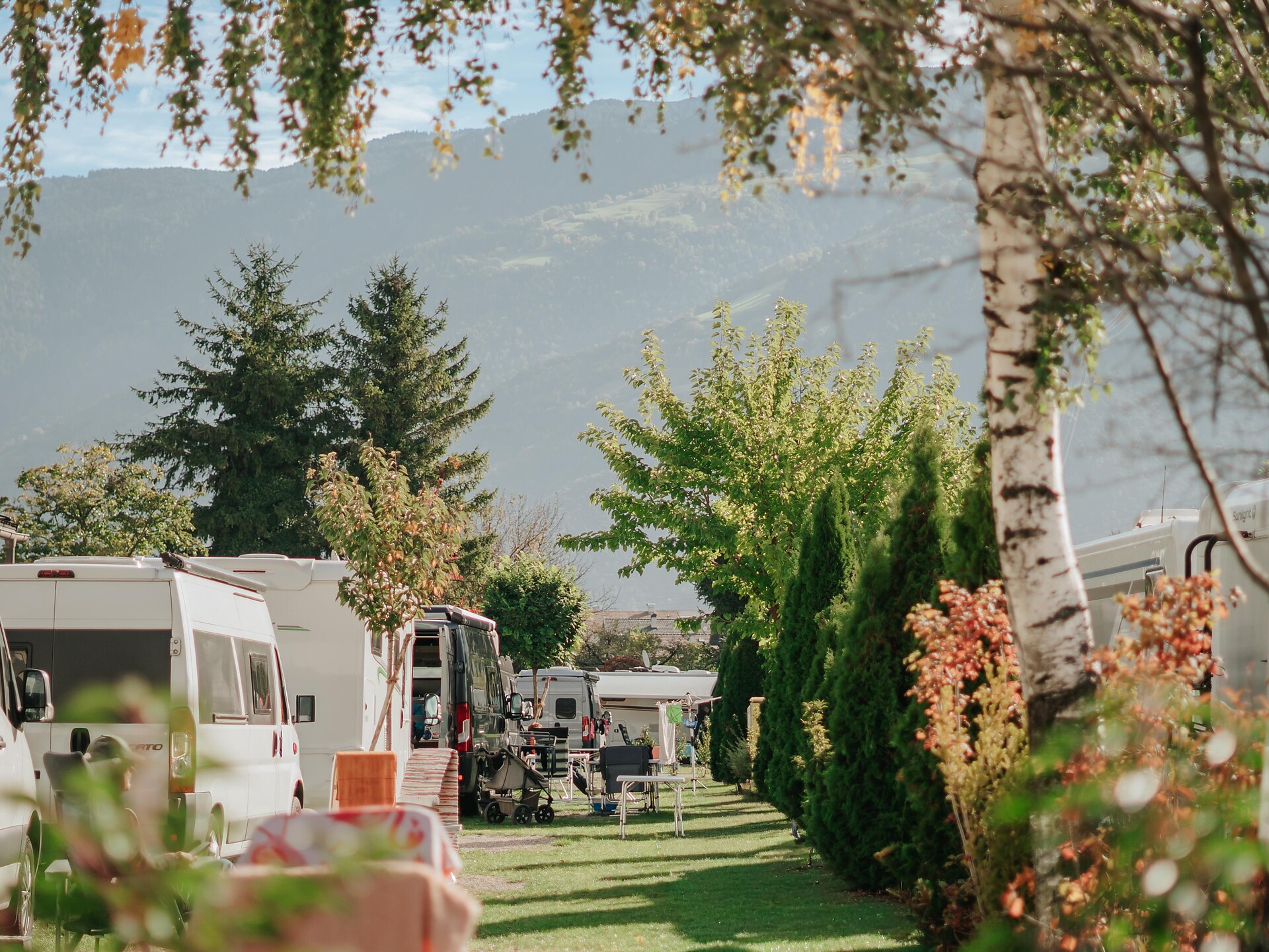 Camping Adler - Meran/Merano and environs - #1 - suedtirol.info