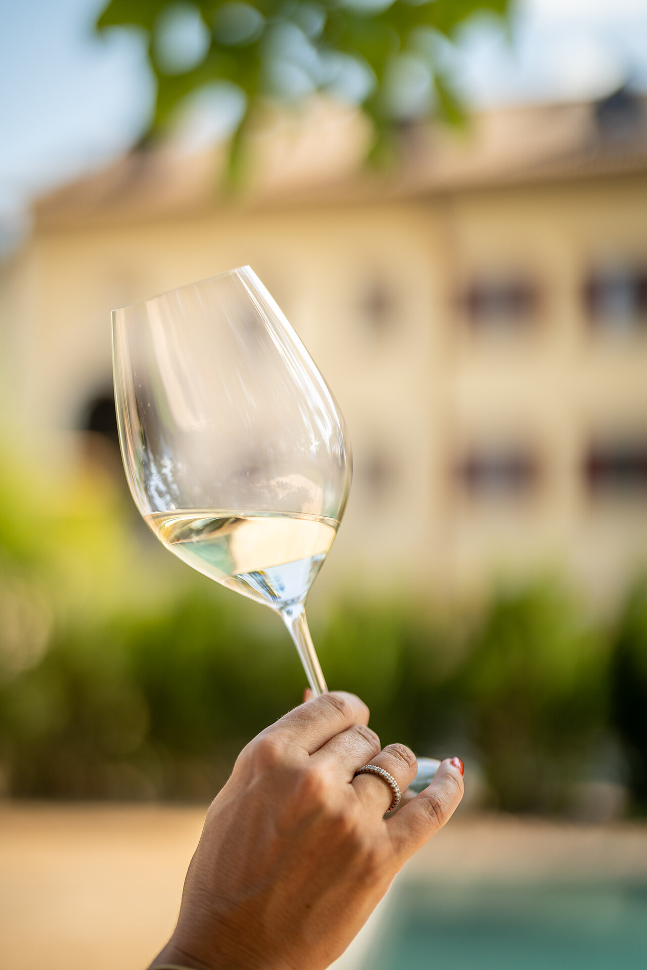 Castel Sallegg Suites Kaltern an der Weinstraße 3 suedtirol.info