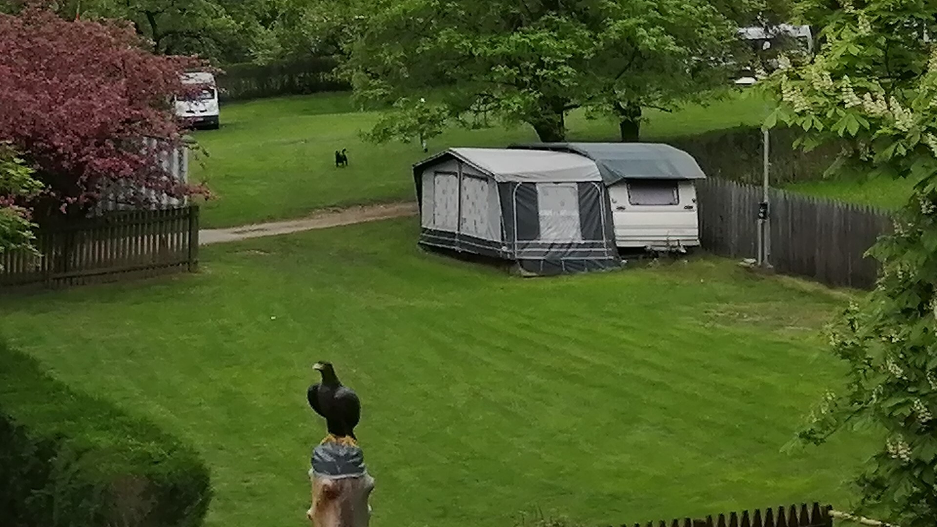 Camping zum See