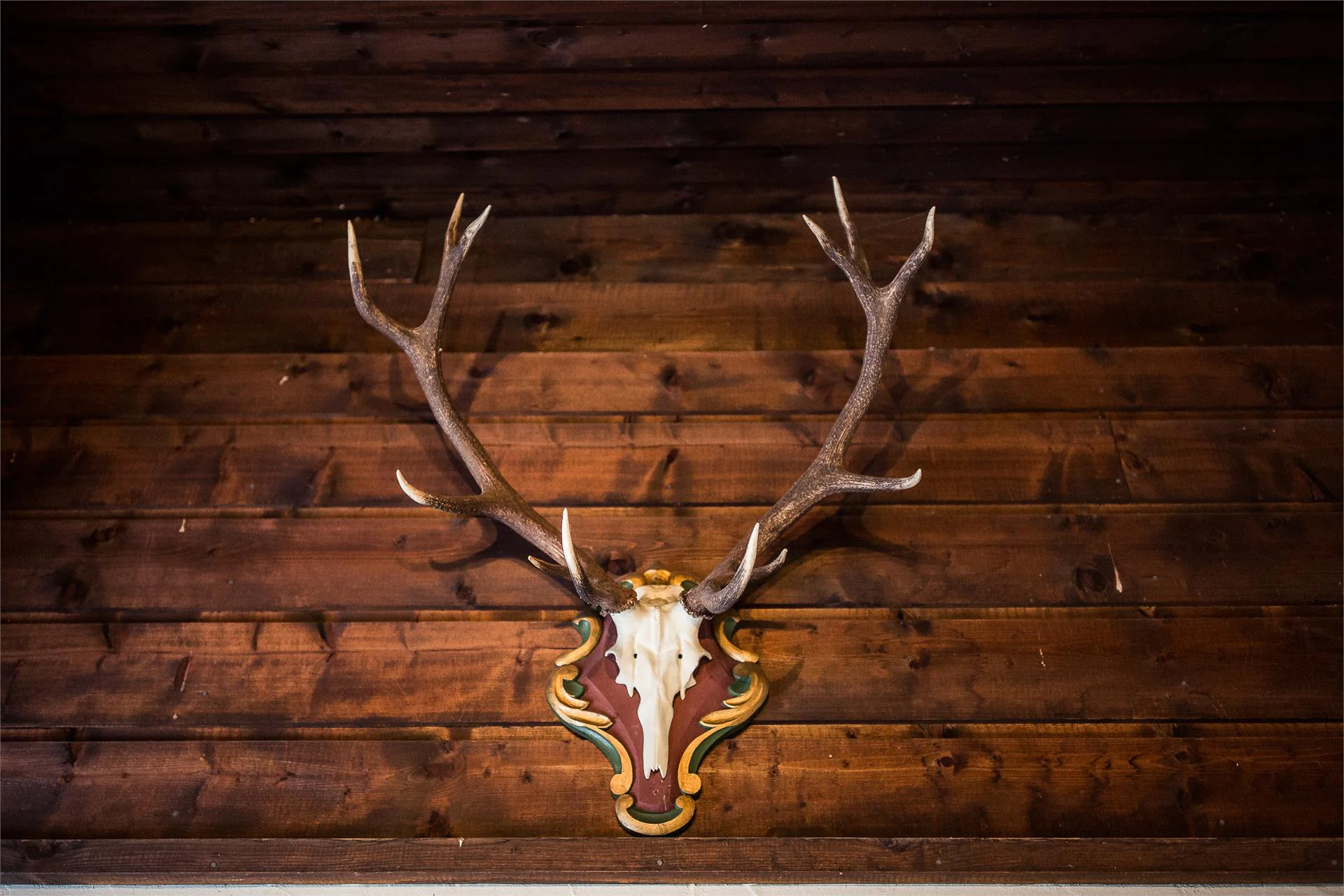 Chalet al lago di Resia Curon Venosta 5 suedtirol.info