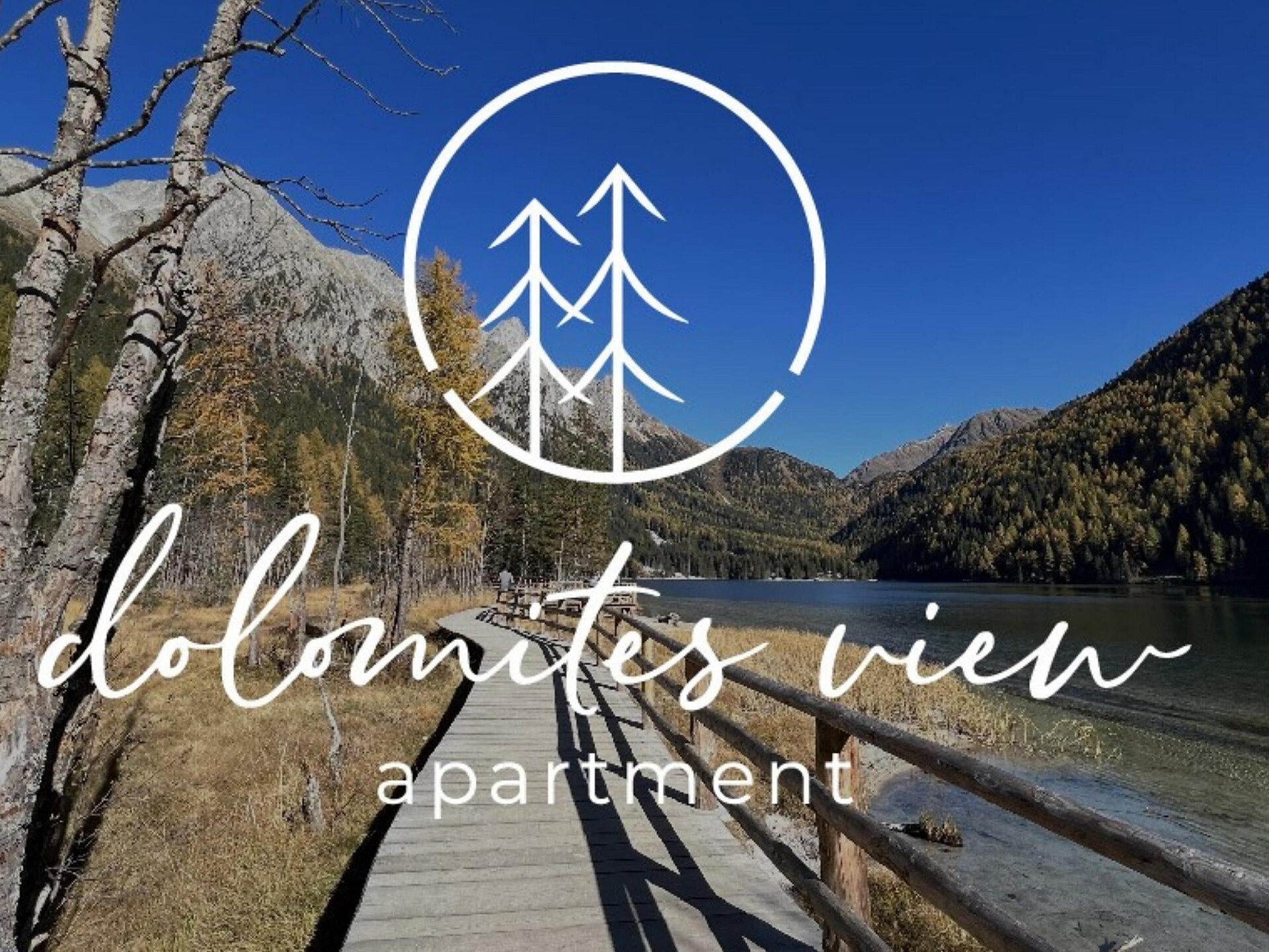 dolomites view apartment