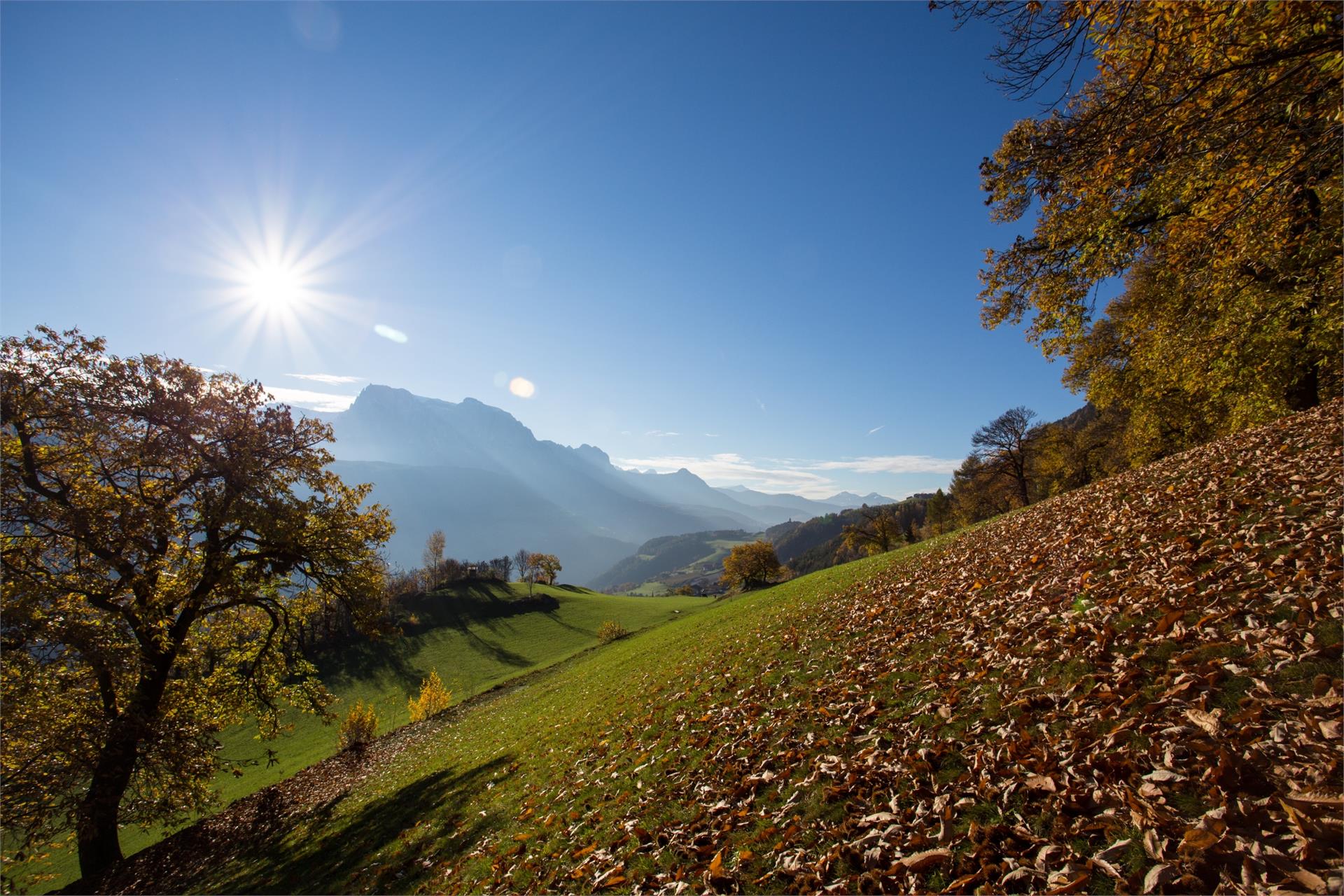 Dolomitenblick Barbian 6 suedtirol.info