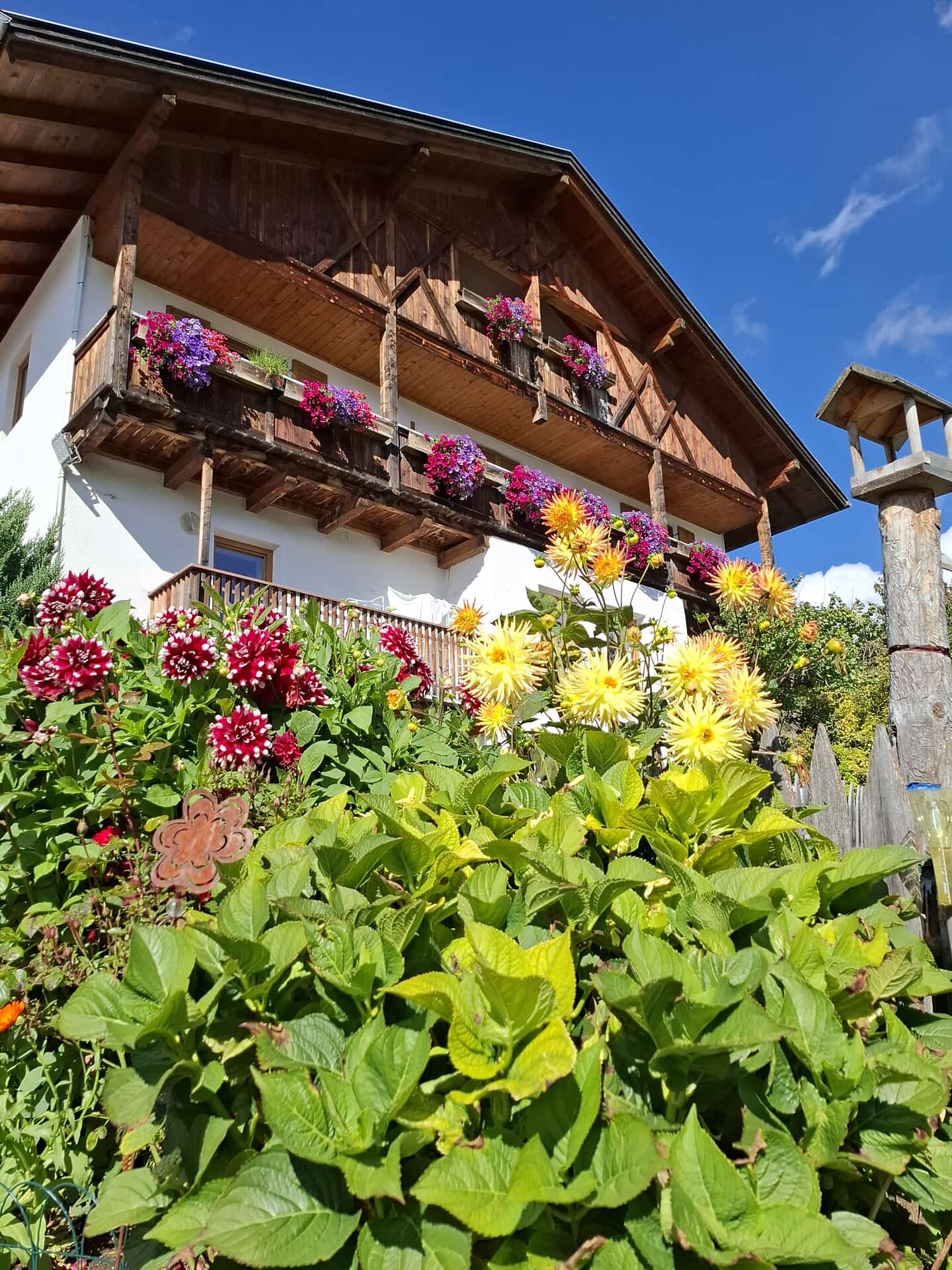 Drockerhof - Regione dolomitica Luson Val di Funes - #1 - suedtirol.info