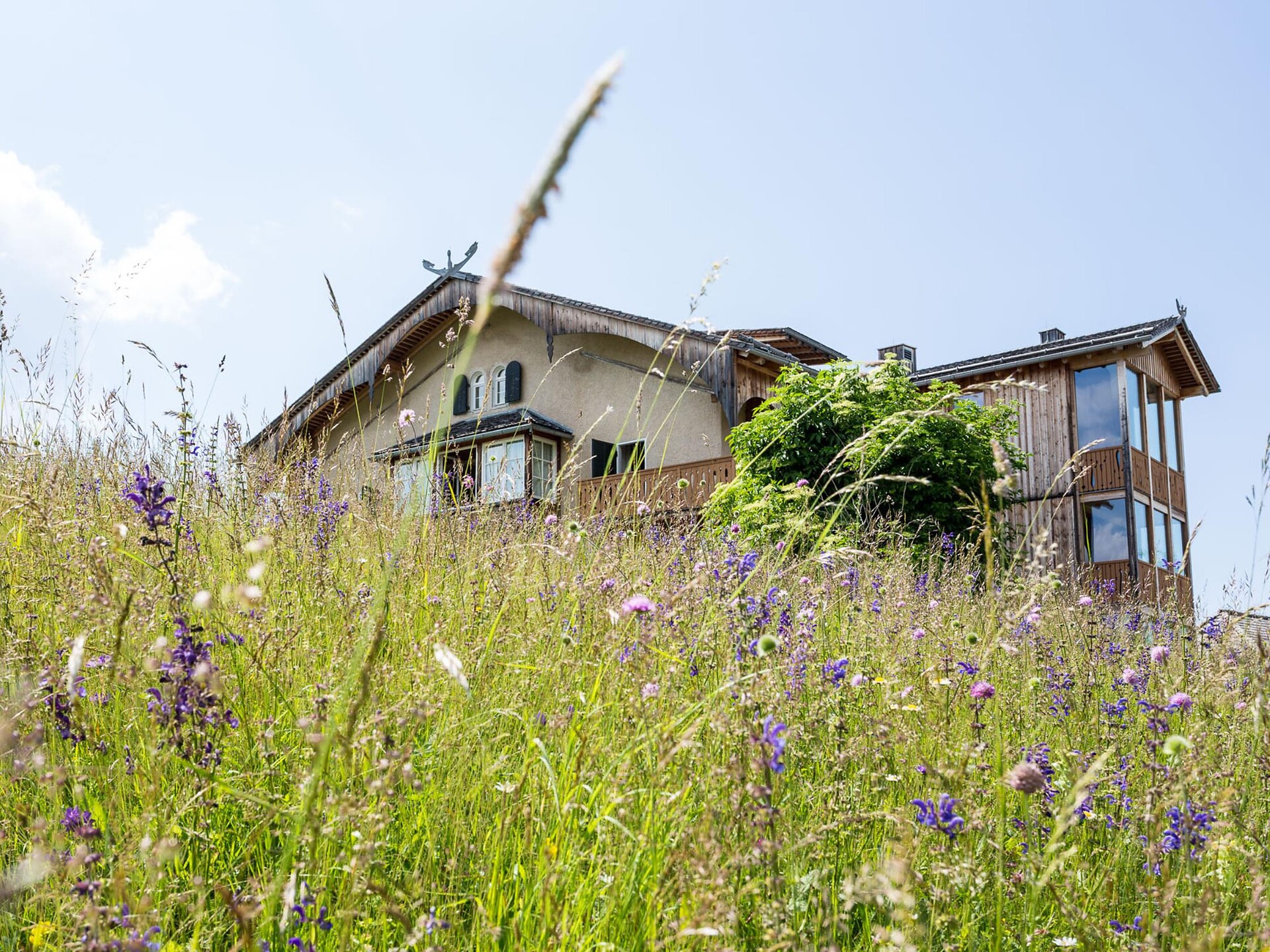 The Zirmerhof is located in the middle of forests and meadows