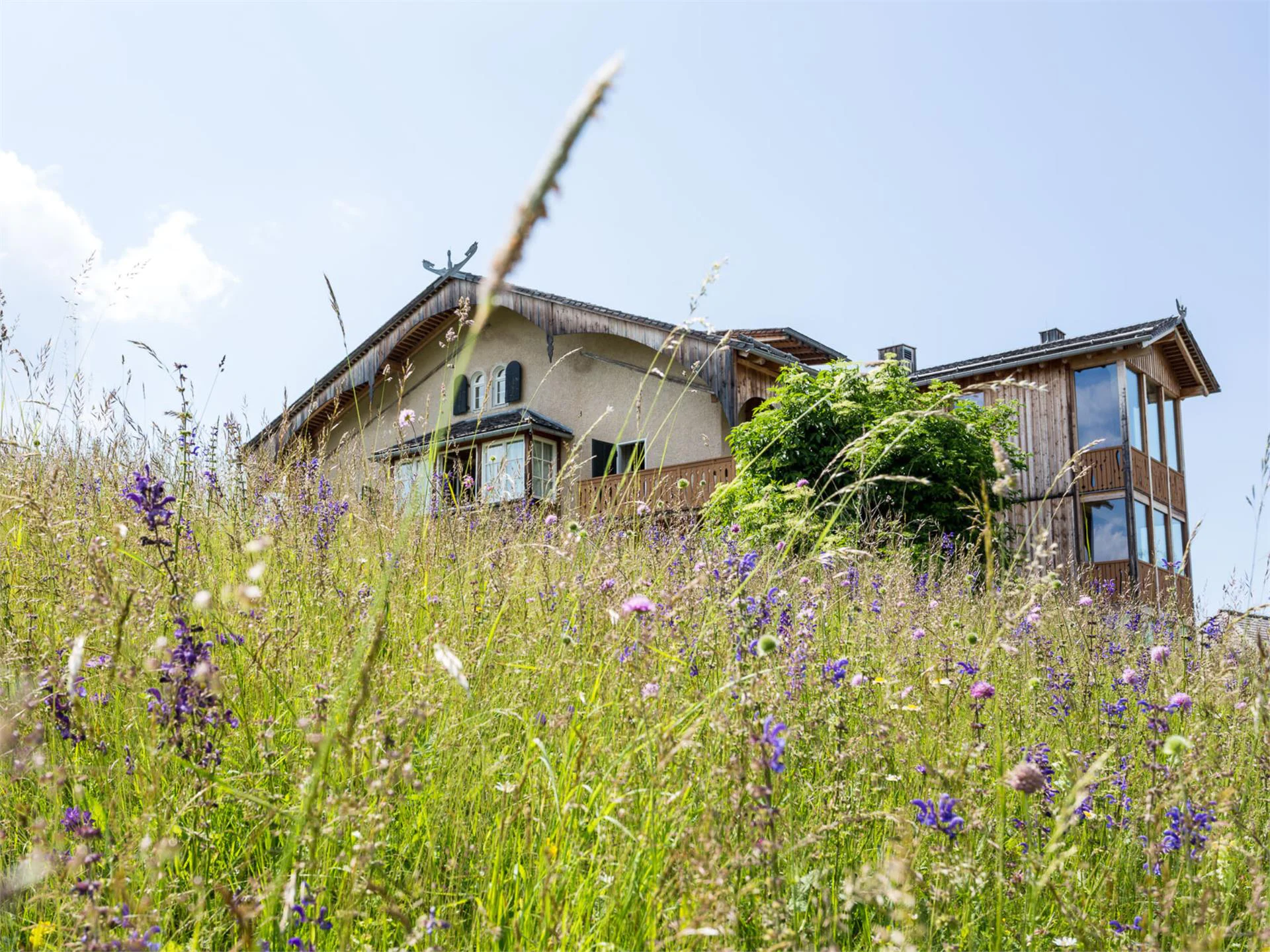 Hotel Zirmerhof Aldino 2 suedtirol.info