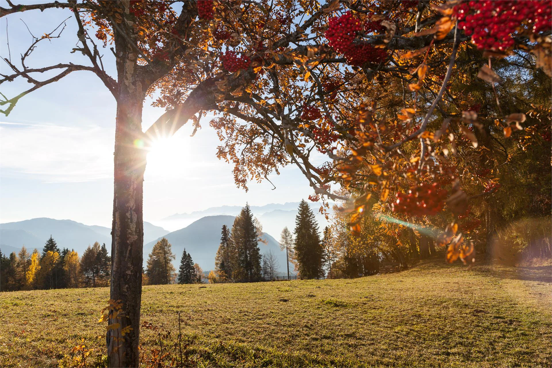Hotel Zirmerhof Aldino 15 suedtirol.info
