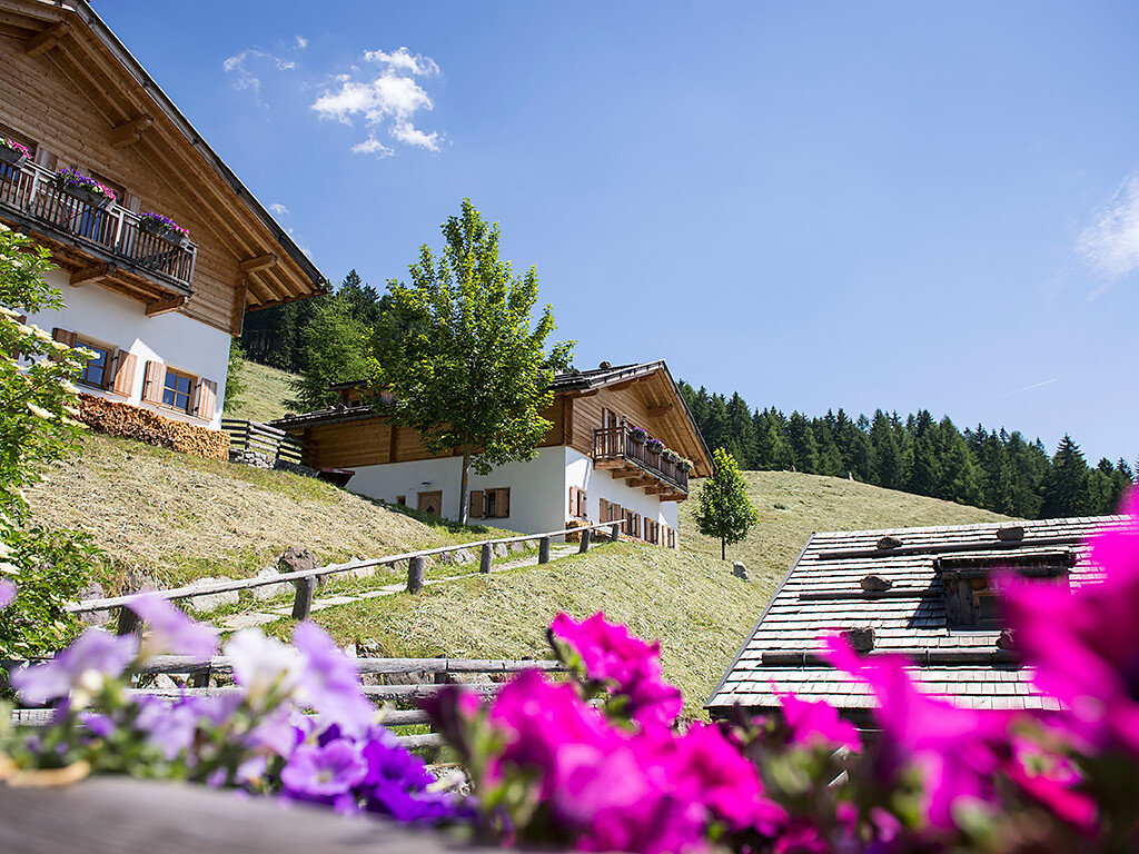 The Alpine Hotel Taser
