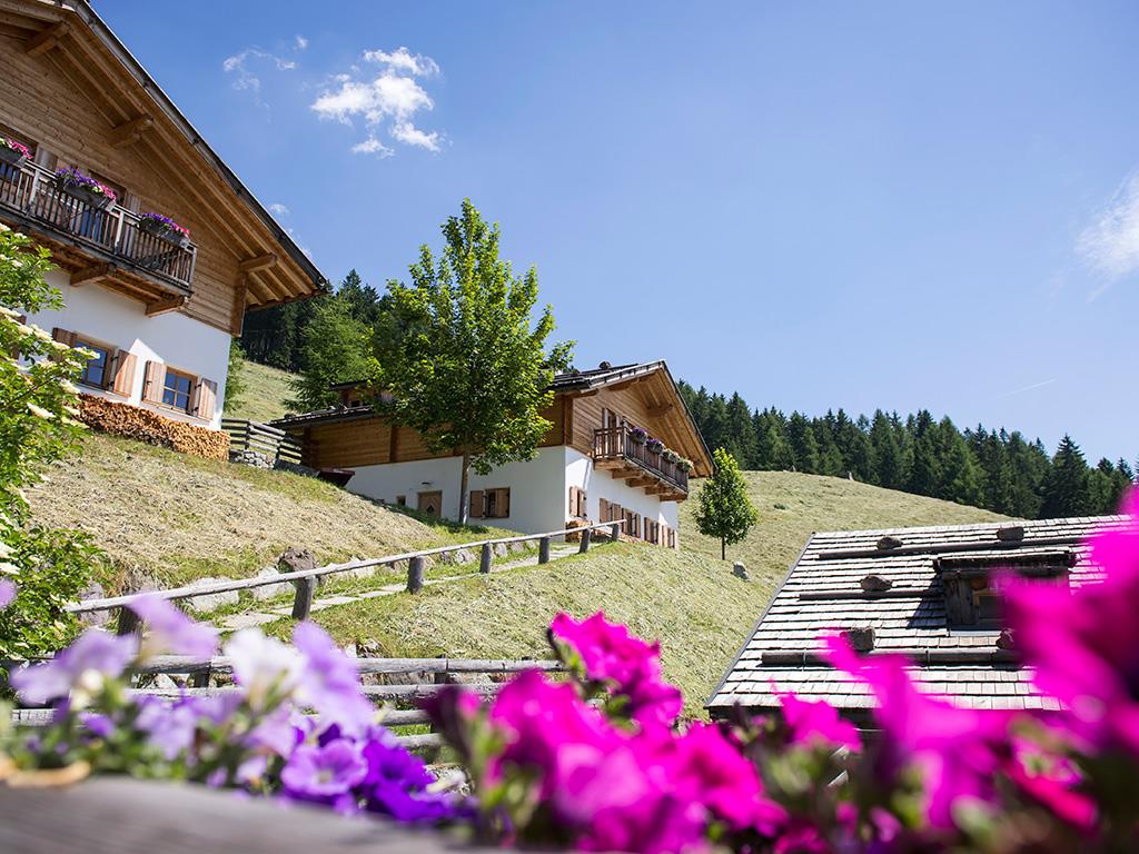 La Malga Taser Scena 4 suedtirol.info