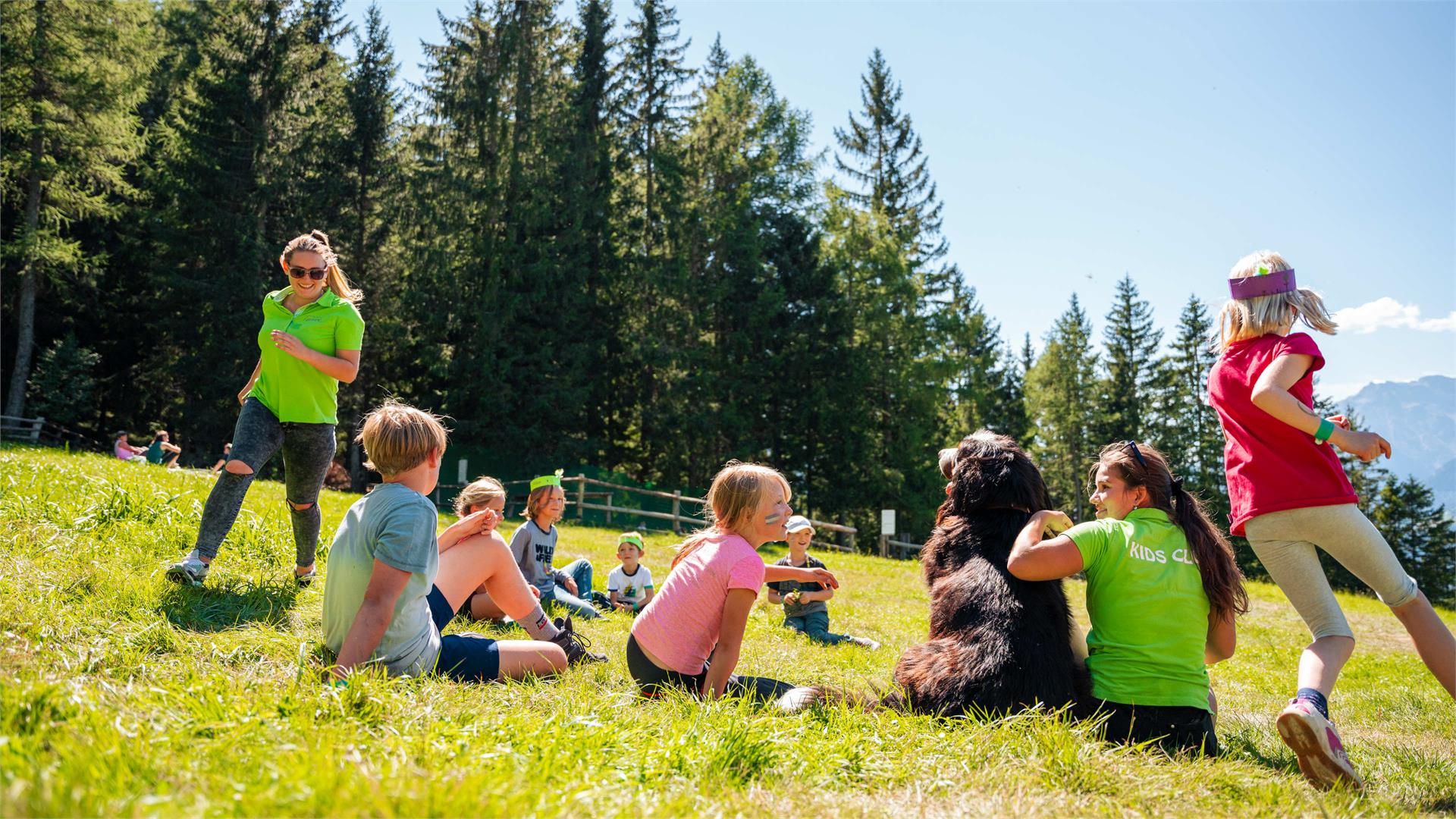 La Malga Taser Scena 24 suedtirol.info