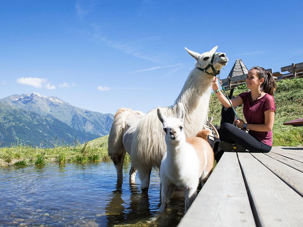 La Malga Taser Scena 17 suedtirol.info