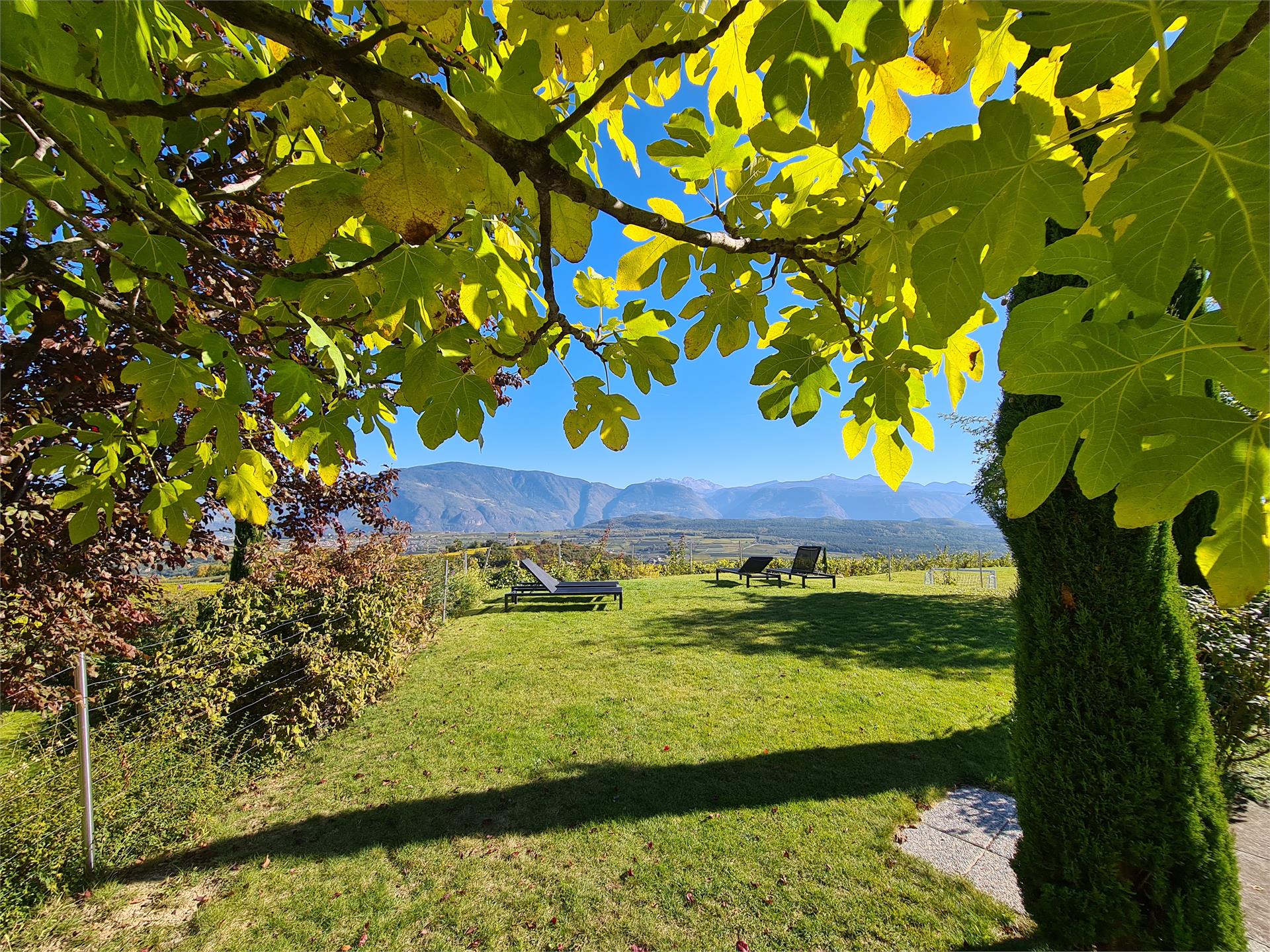 DAS MATSCHER - Residence & Garden Hotel Appiano sulla Strada del Vino 20 suedtirol.info