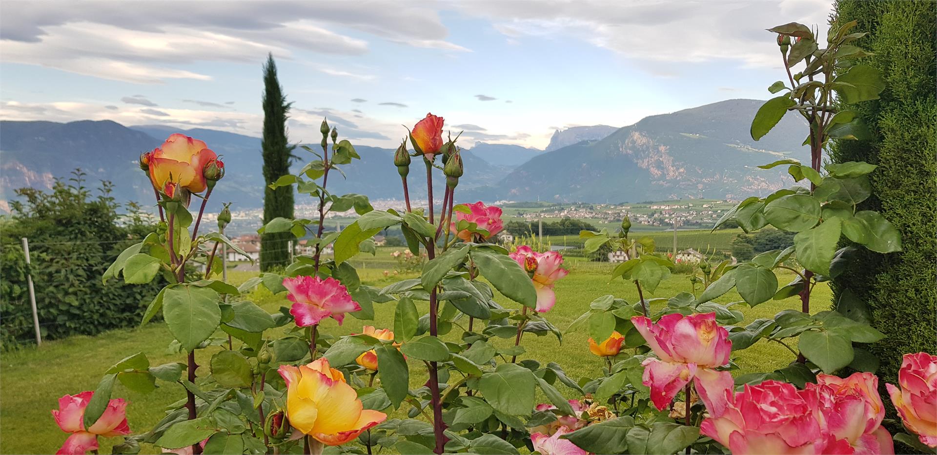 DAS MATSCHER - Residence & Garden Hotel Appiano sulla Strada del Vino 14 suedtirol.info