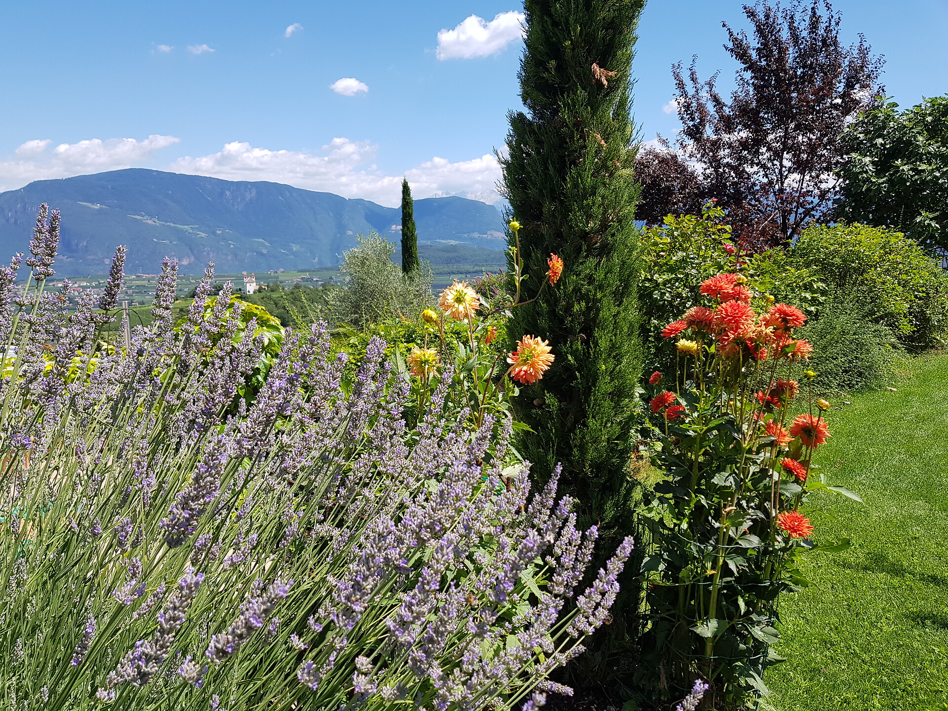 Giardino