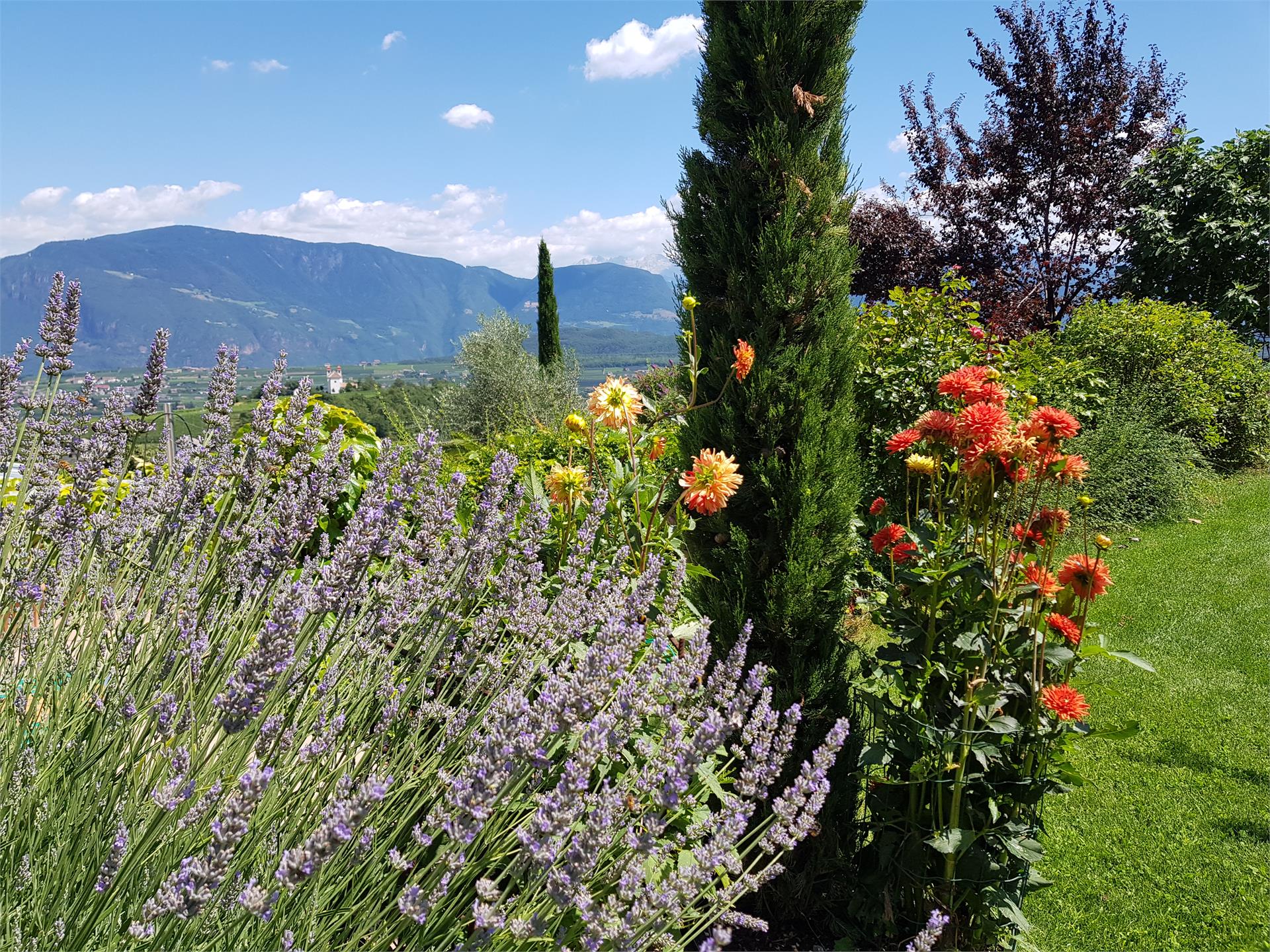 DAS MATSCHER - Residence & Garden Hotel Appiano sulla Strada del Vino 17 suedtirol.info