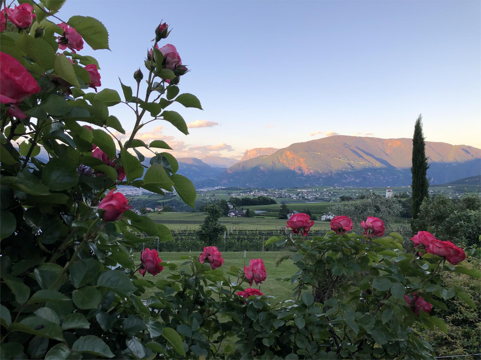 DAS MATSCHER - Residence & Garden Hotel Appiano sulla Strada del Vino 19 suedtirol.info
