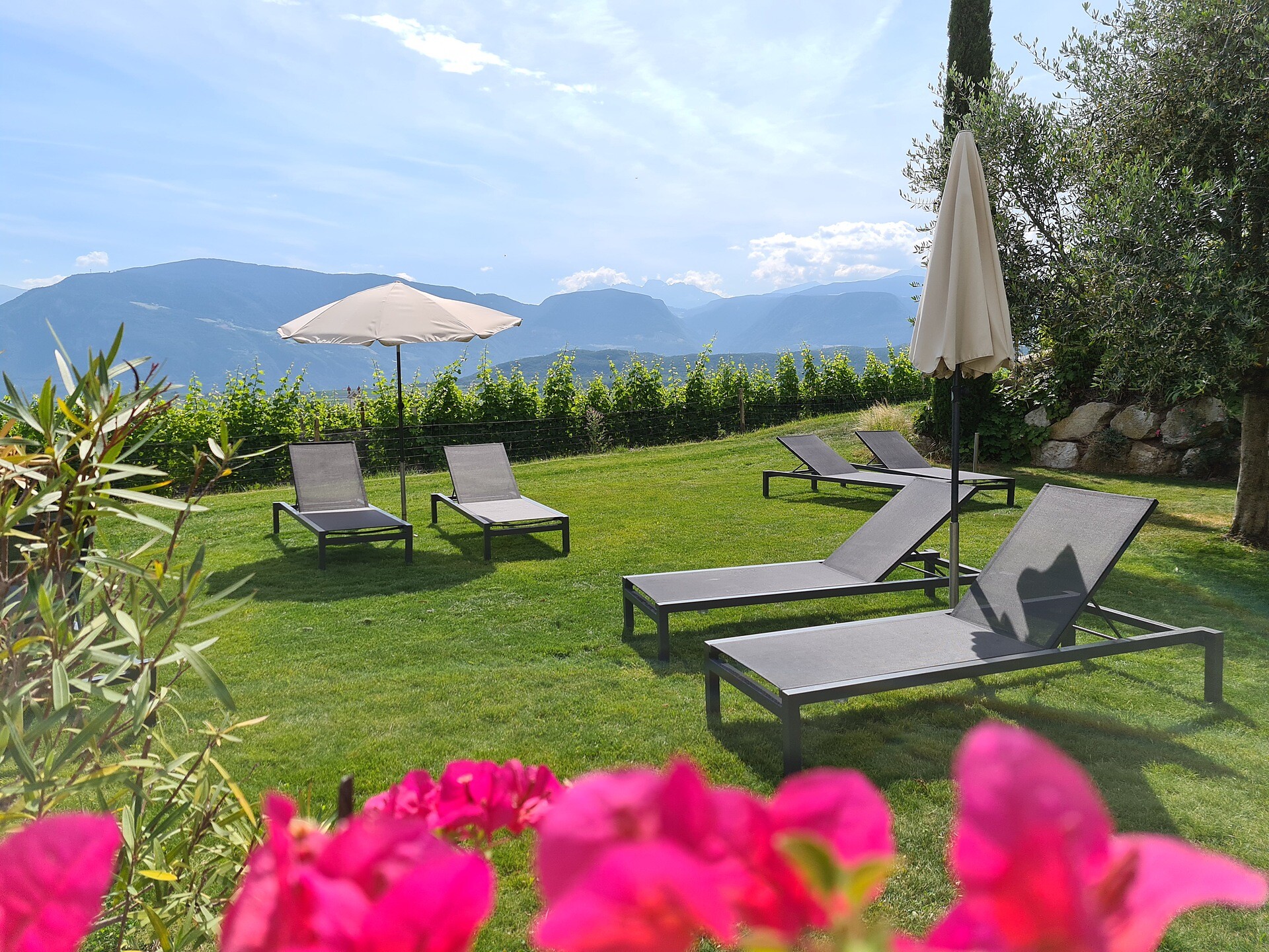 Giardino