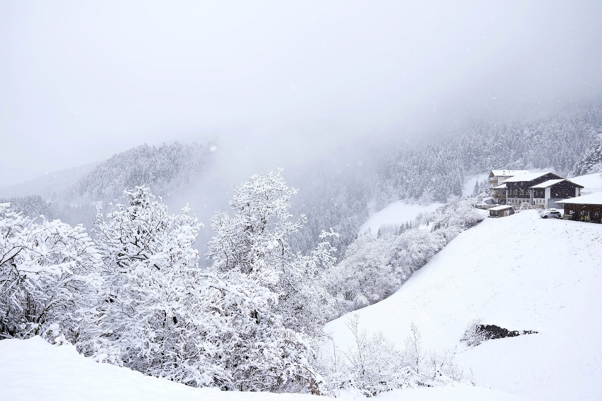 in the winter