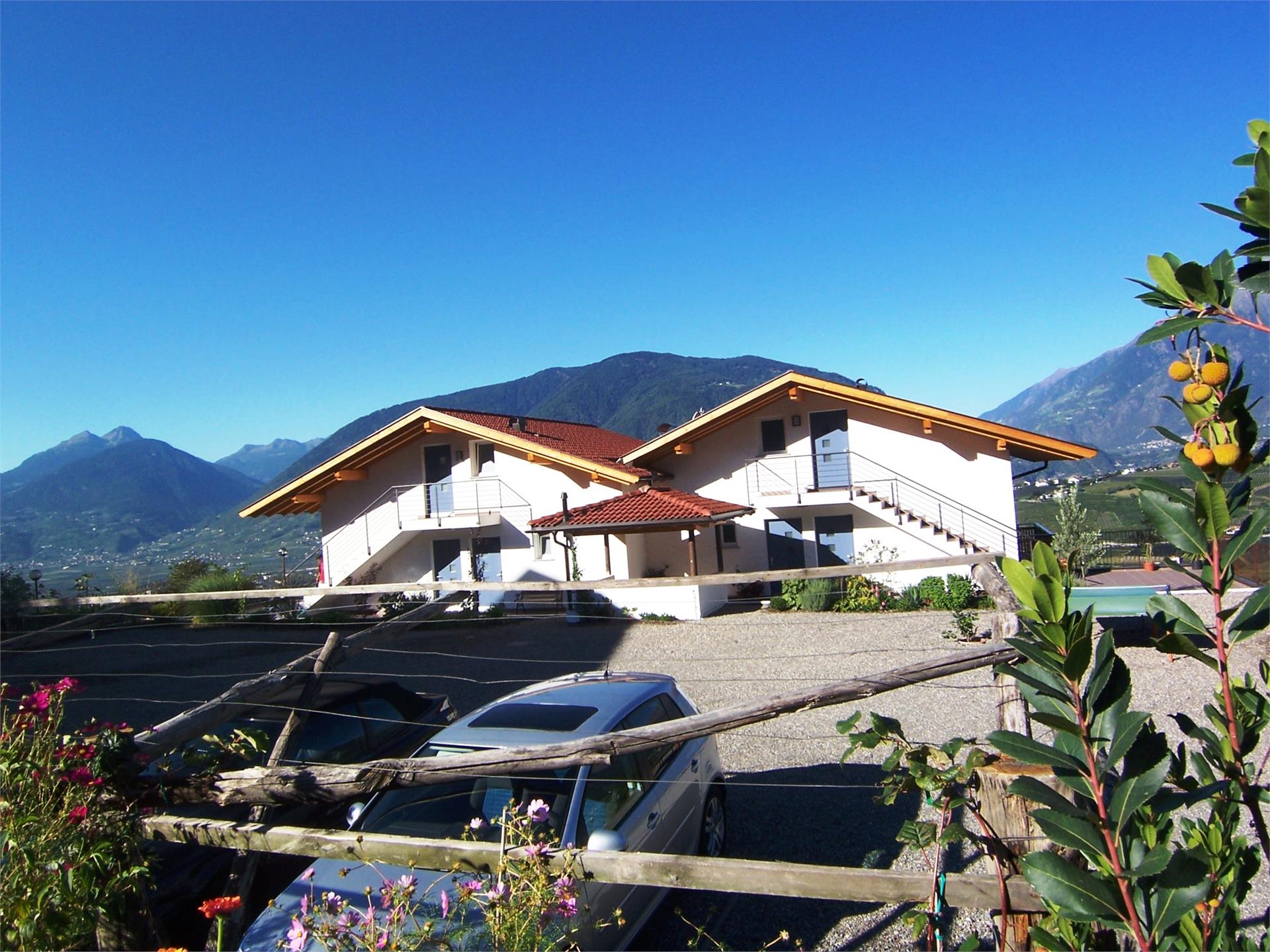 Der Blaue Reiter Schenna 13 suedtirol.info