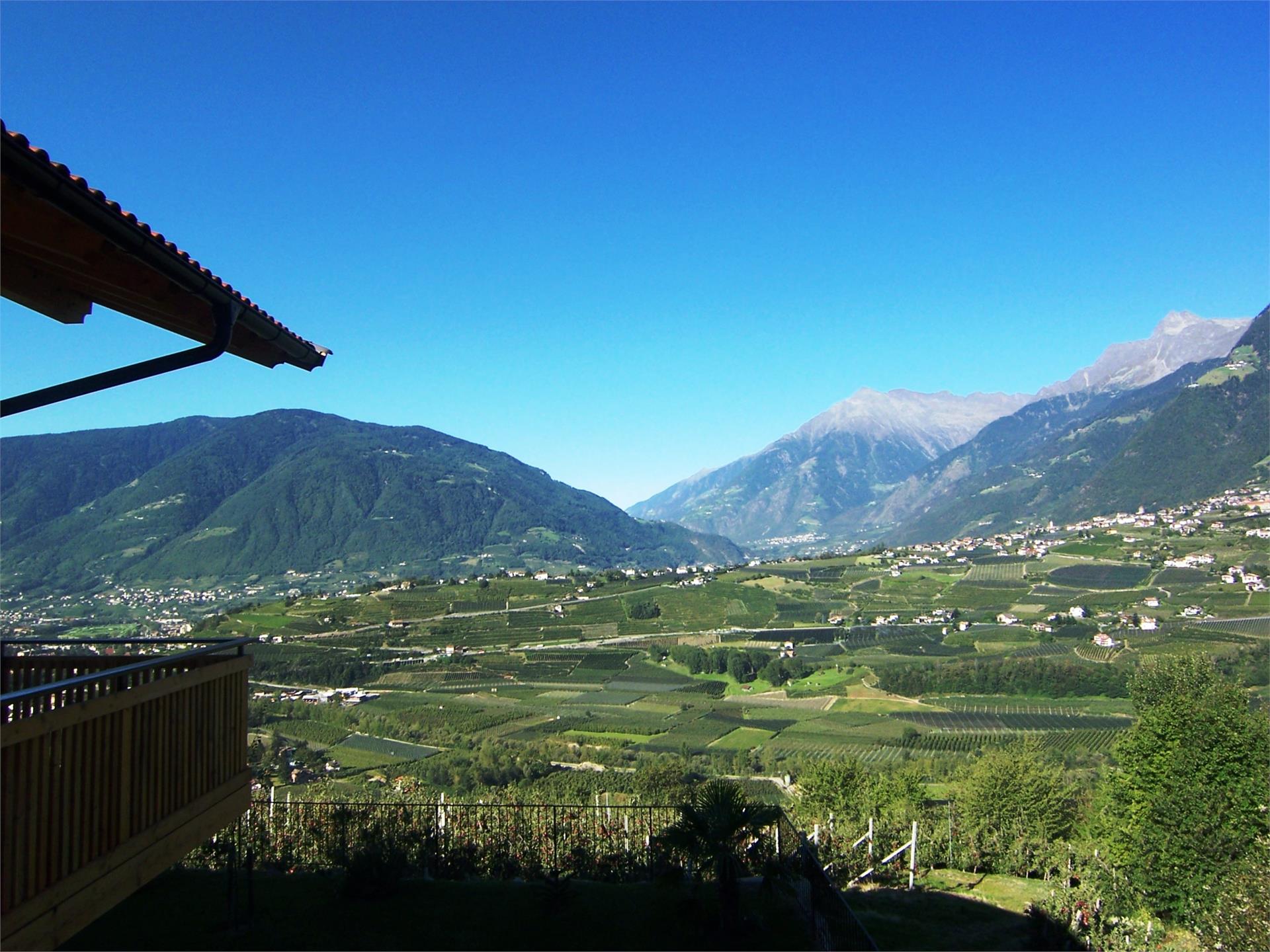 Der Blaue Reiter Schenna 7 suedtirol.info
