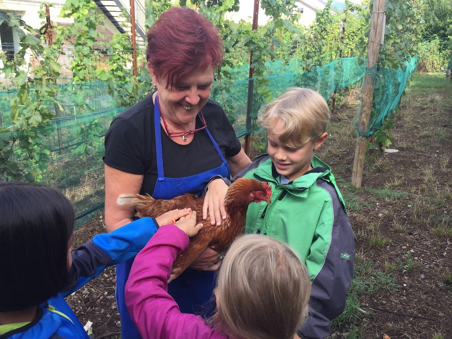 In the chicken coop