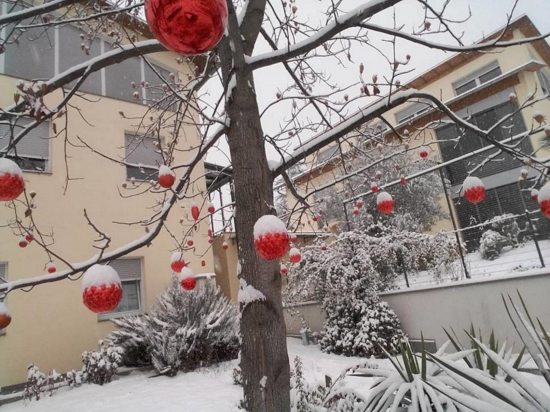 Christmas