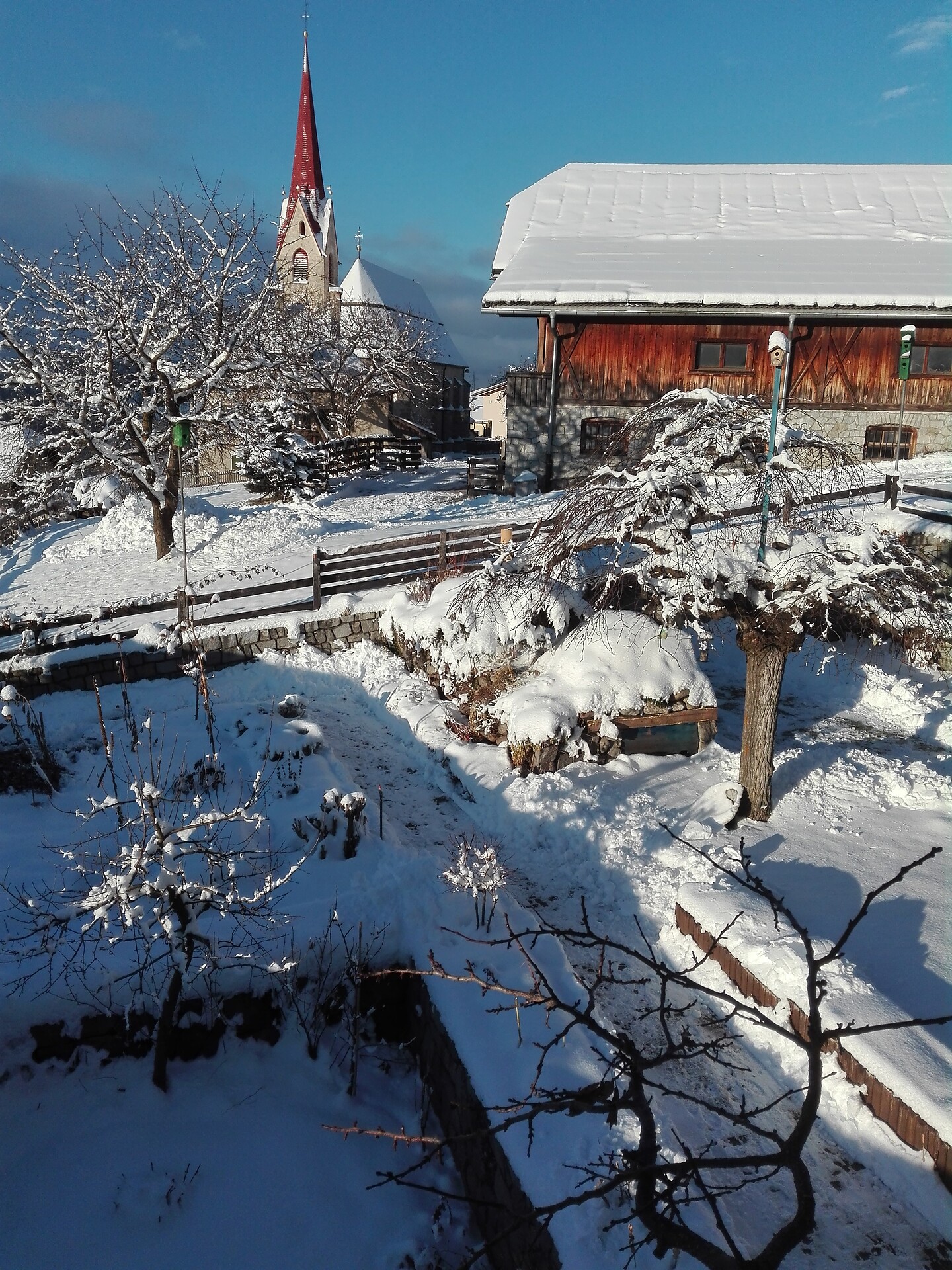 Blick nach Westen von der Wohnküche in den Garten