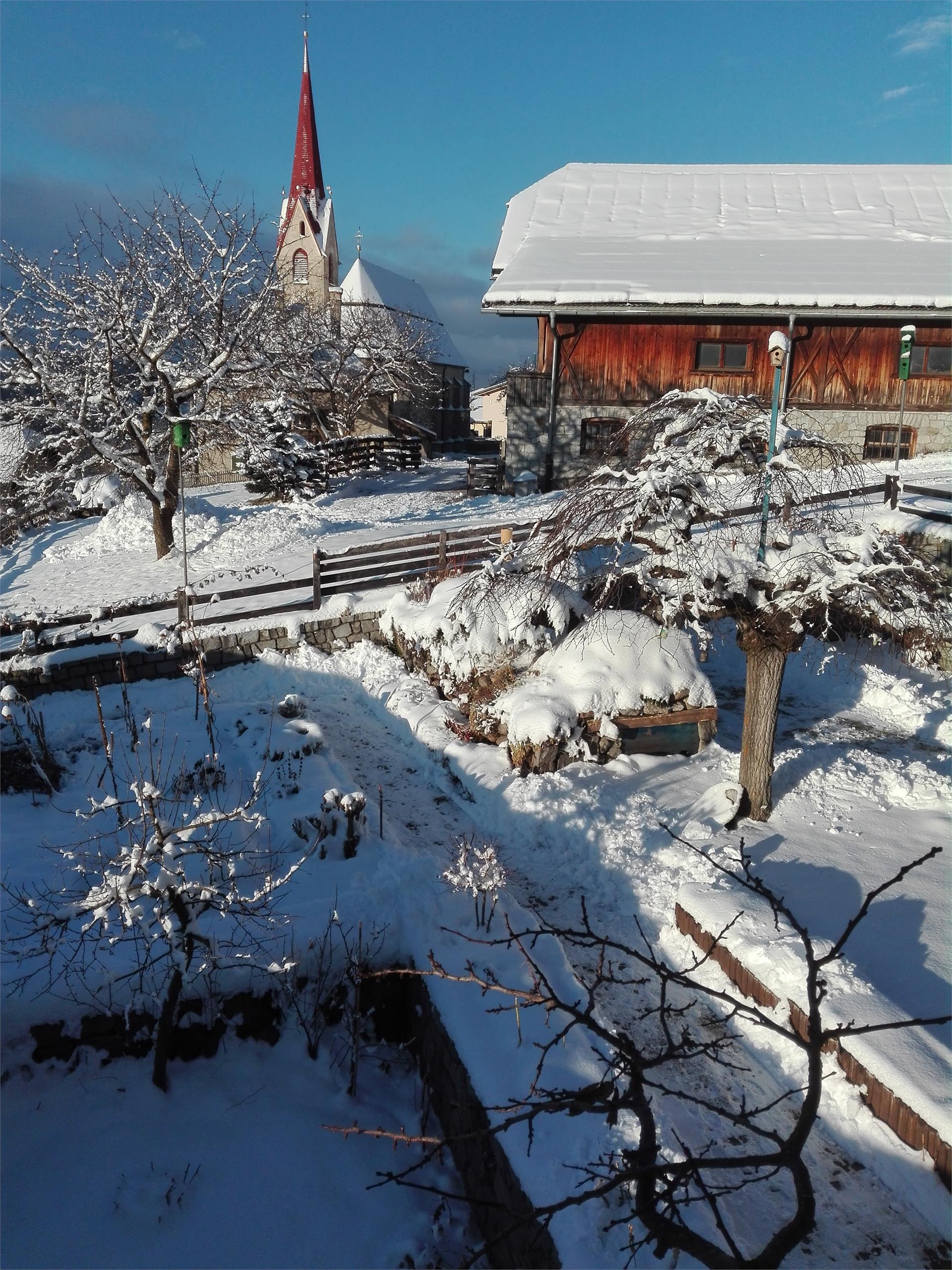 dolomitsun Perca 6 suedtirol.info