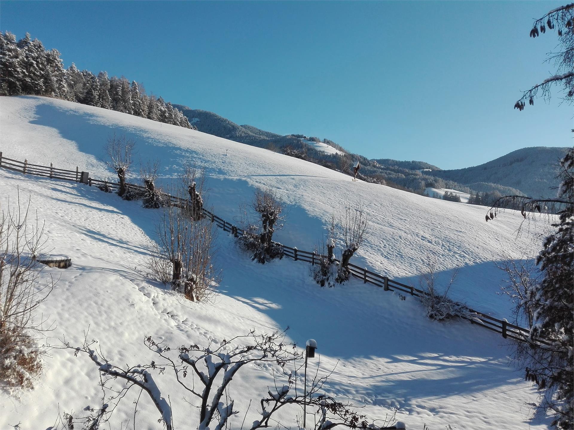 dolomitsun Perca 7 suedtirol.info
