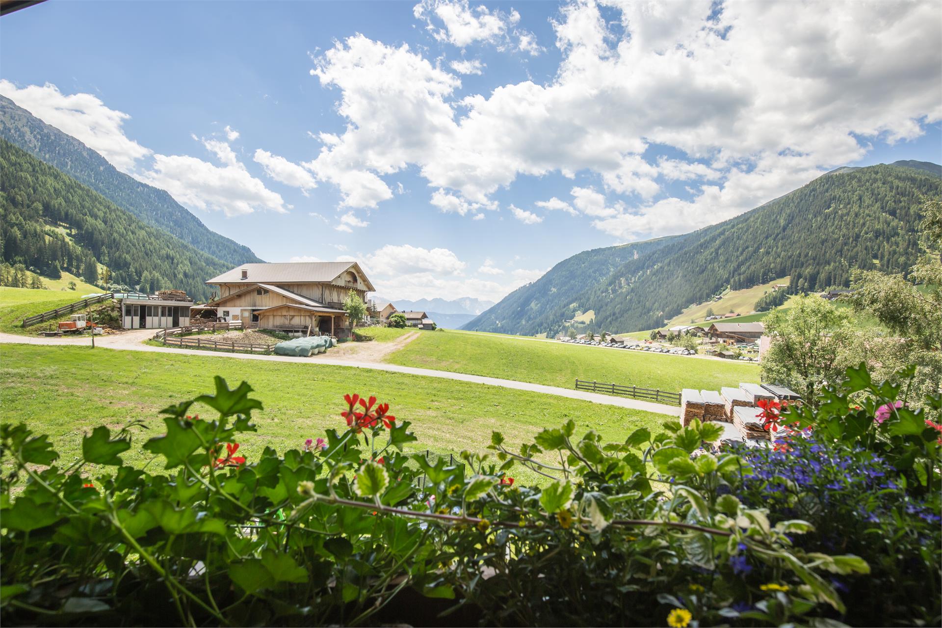 Dürrenhof Gsies/Valle di Casies 6 suedtirol.info