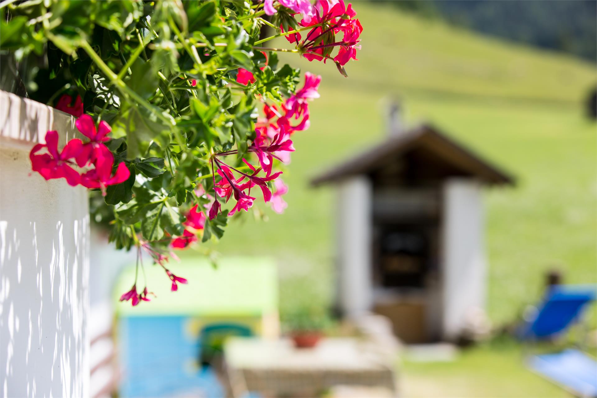 Dürrenhof Gsies/Valle di Casies 15 suedtirol.info