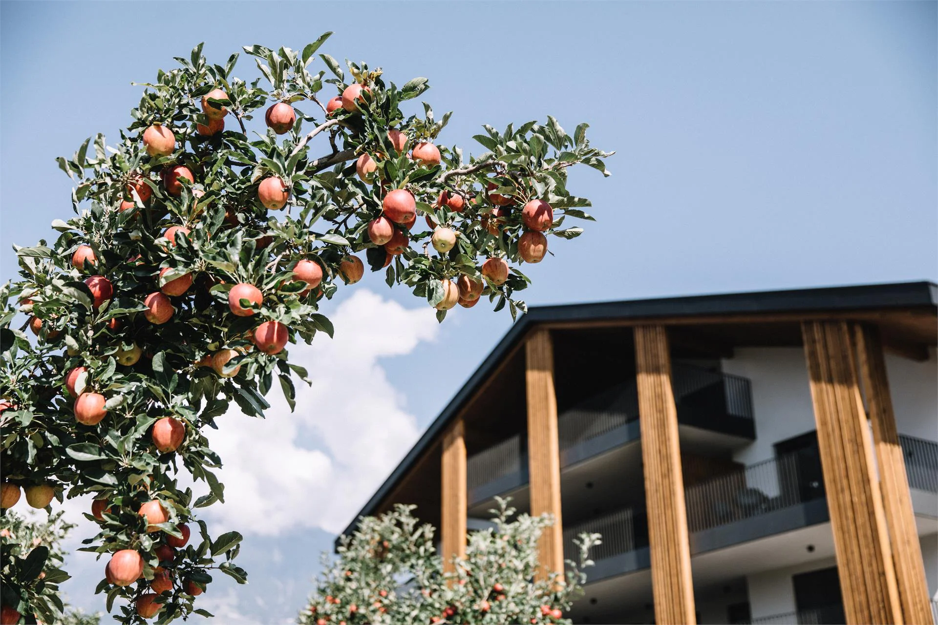 Das Hallinger am Waidmannhof Merano 24 suedtirol.info