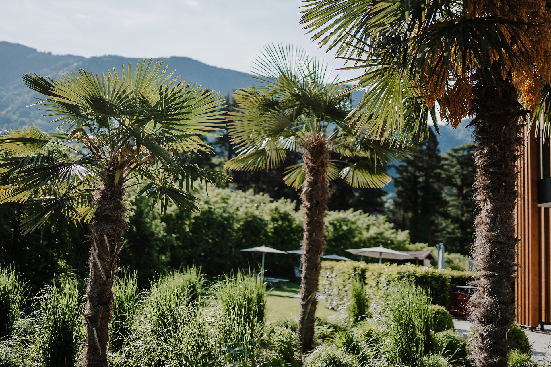 Das Hallinger am Waidmannhof - Meran und Umgebung - #10 - suedtirol.info