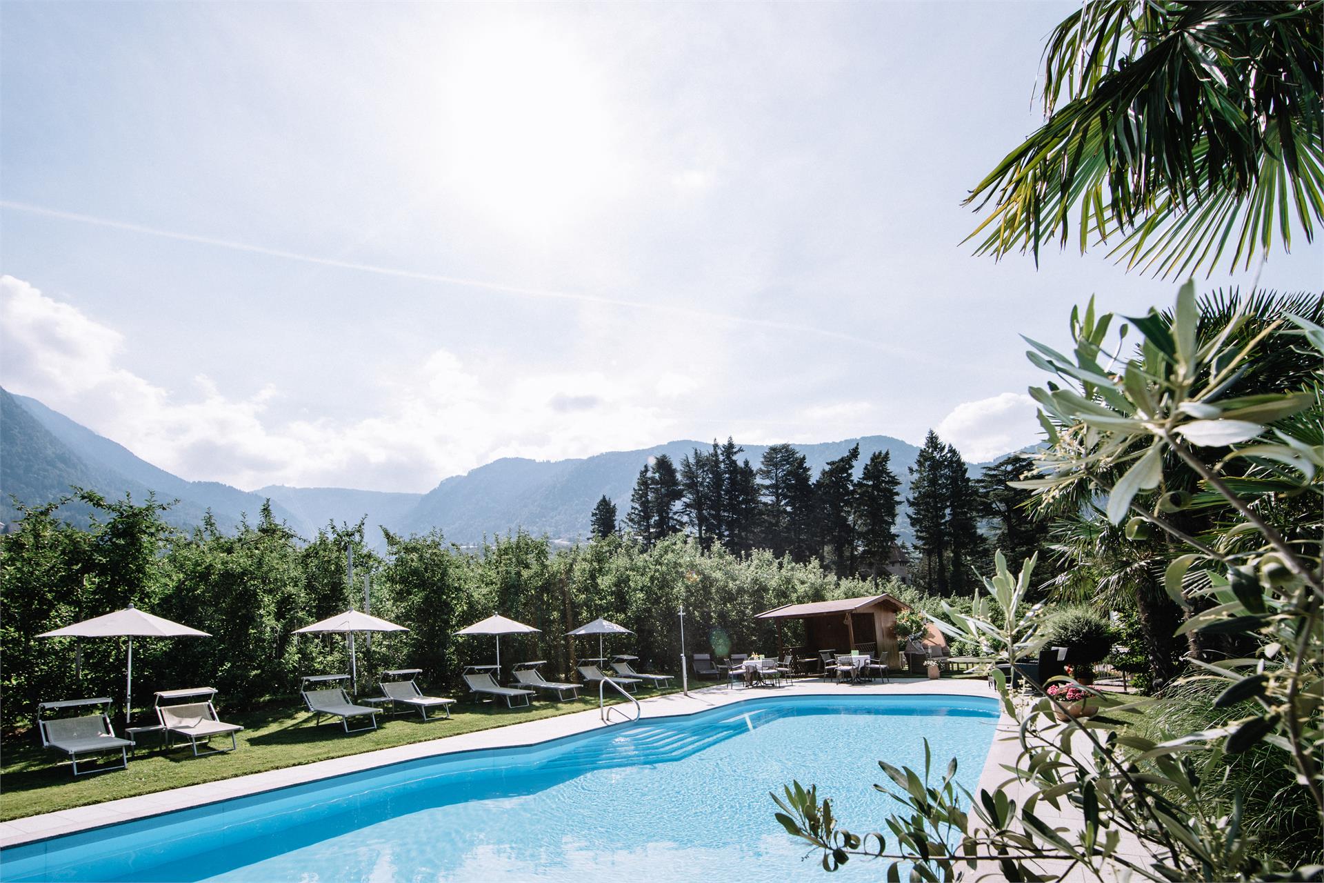 Das Hallinger am Waidmannhof Meran/Merano 3 suedtirol.info