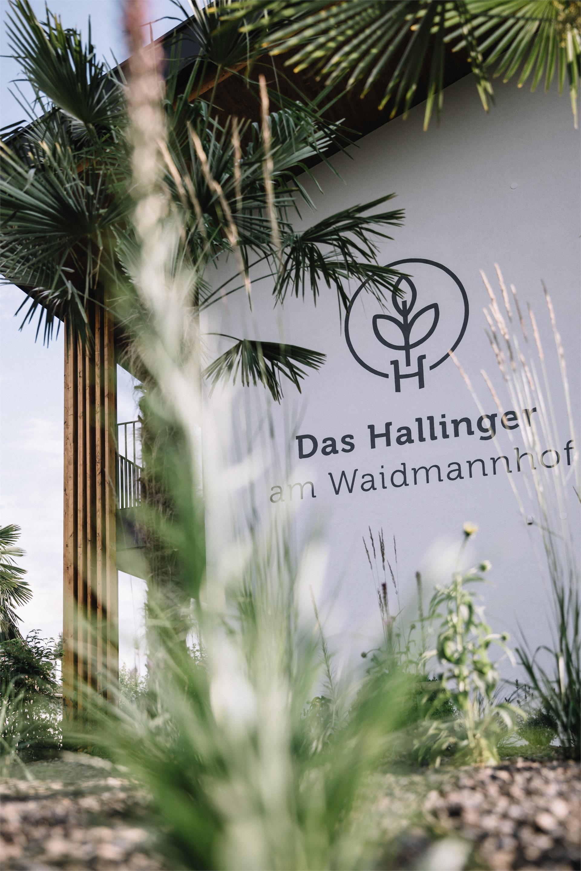 Das Hallinger am Waidmannhof Meran/Merano 21 suedtirol.info