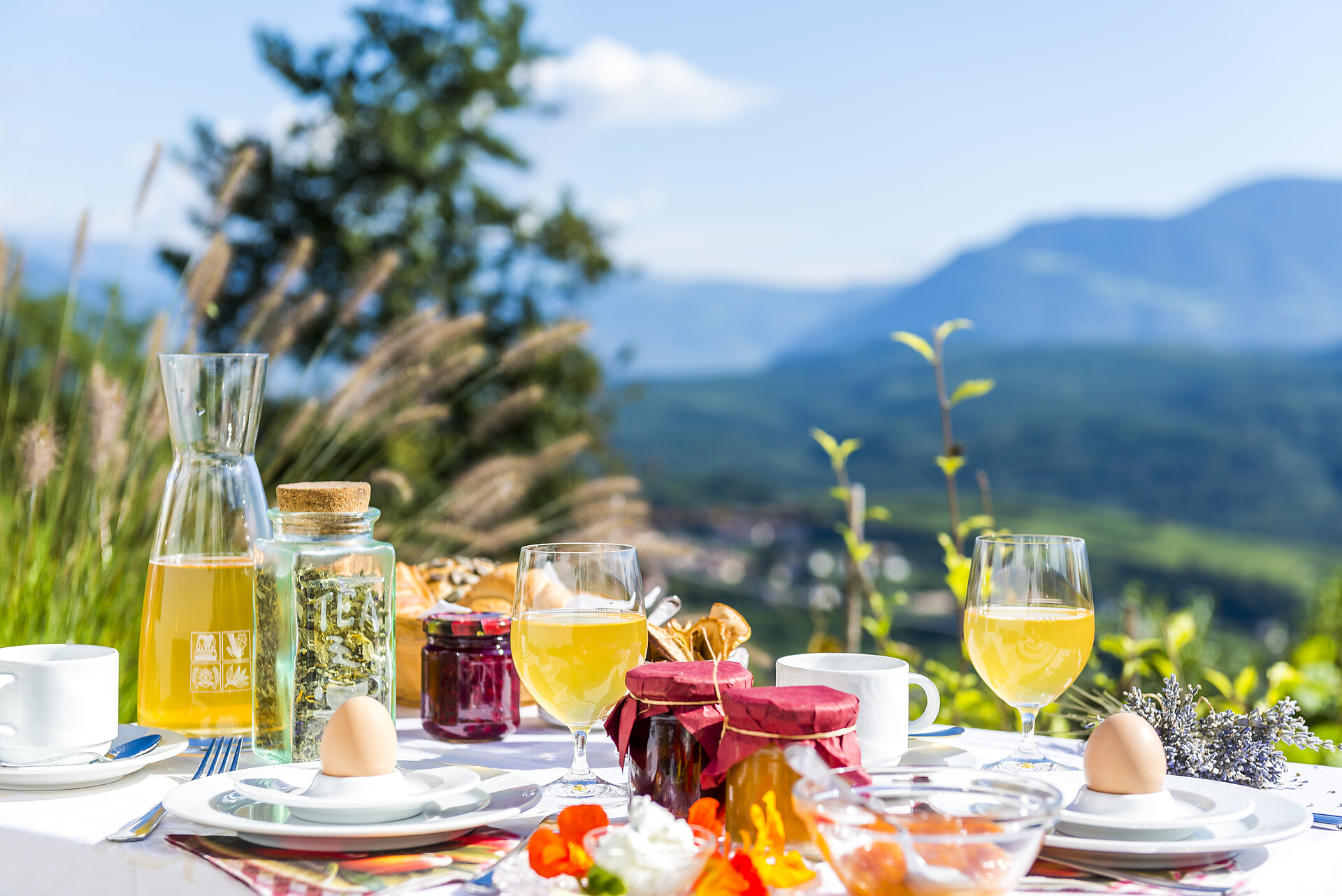 Colazione con tante prelibatezze della nostra fattoria