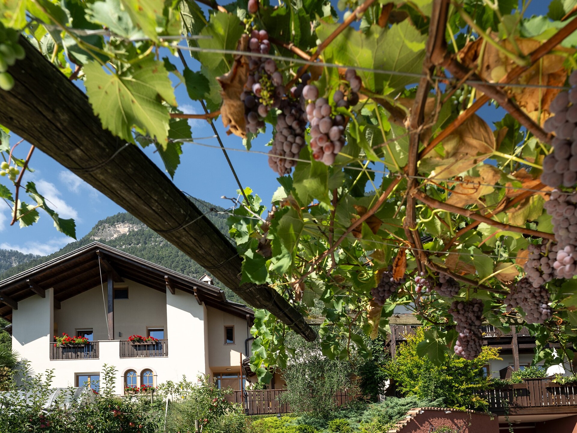 Dissertorihof - Alto Adige Wine Road - #12 - suedtirol.info