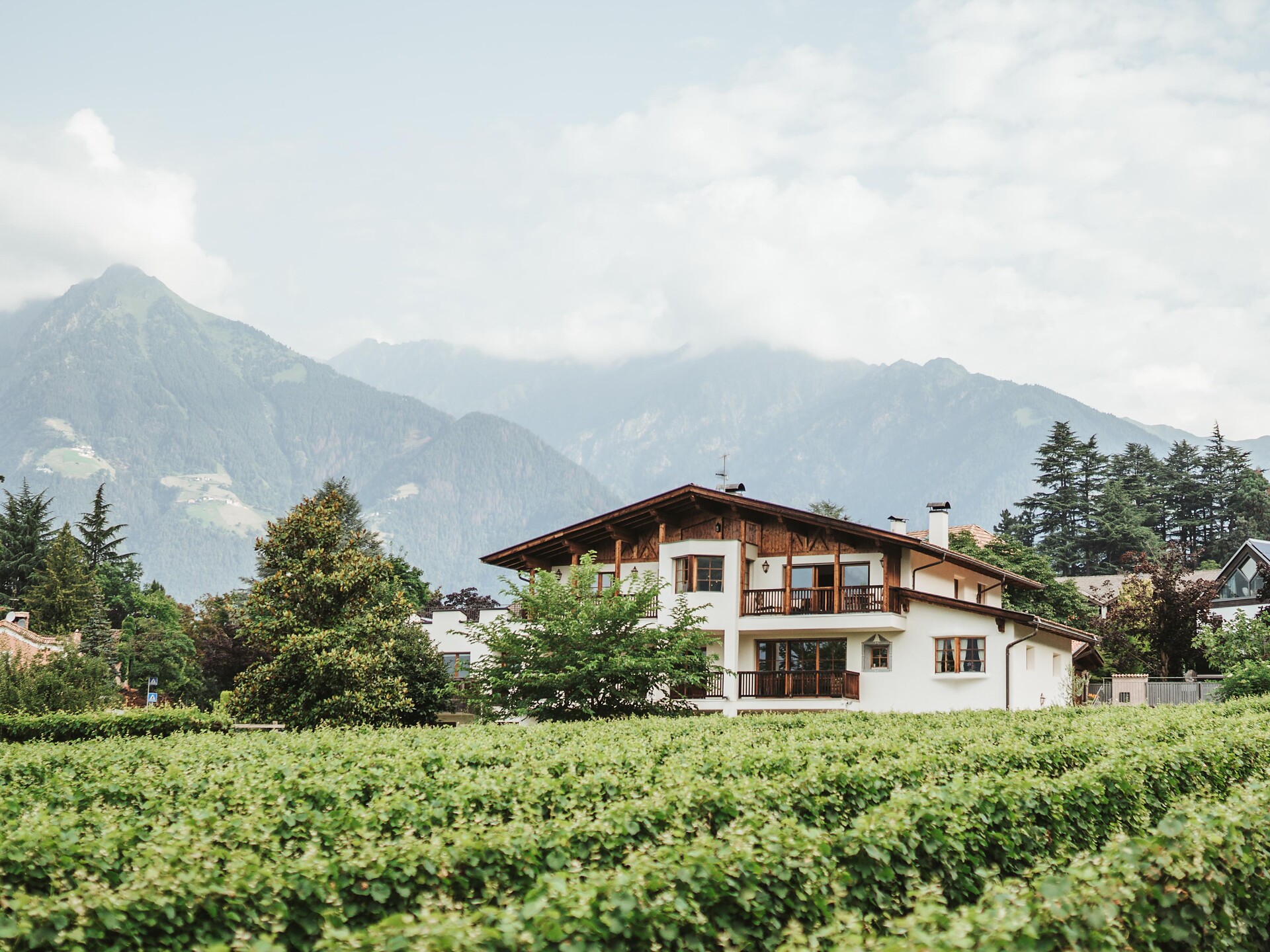 Dornerhof