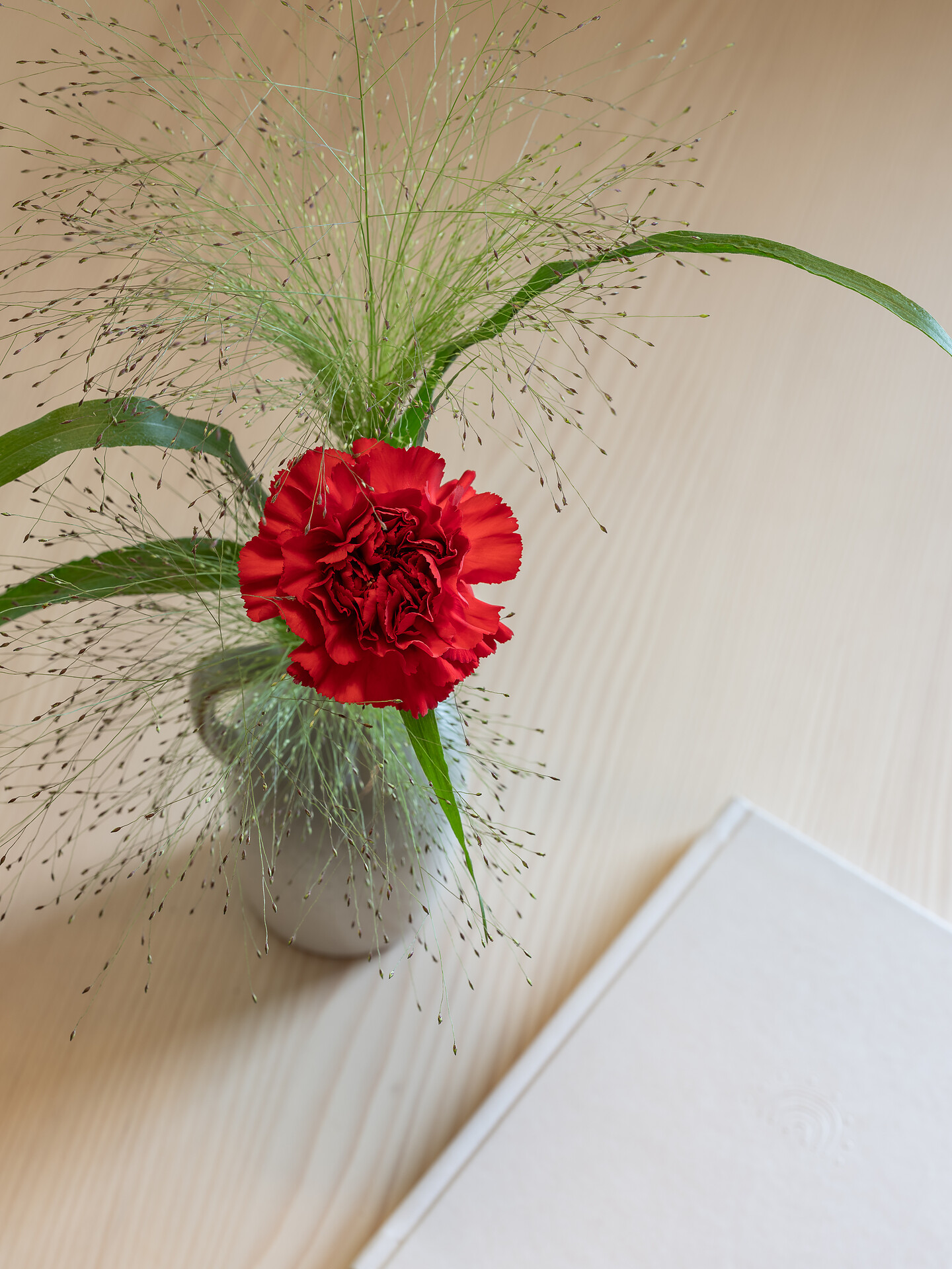 Dianthus Apartment