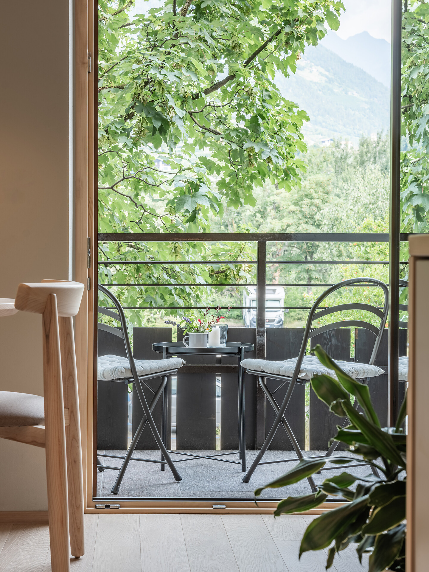 Dianthus Apartment