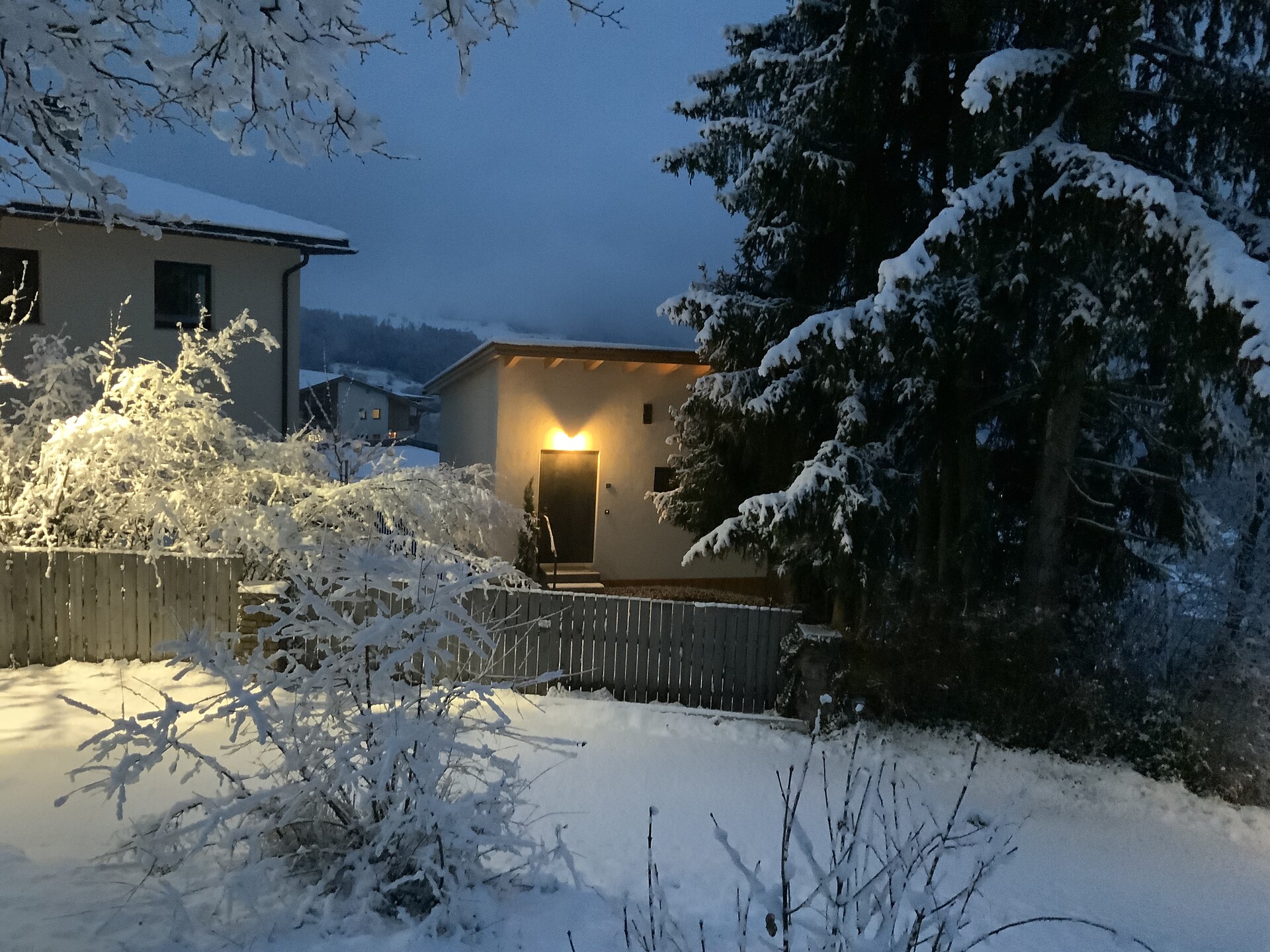 Das Baumhaus