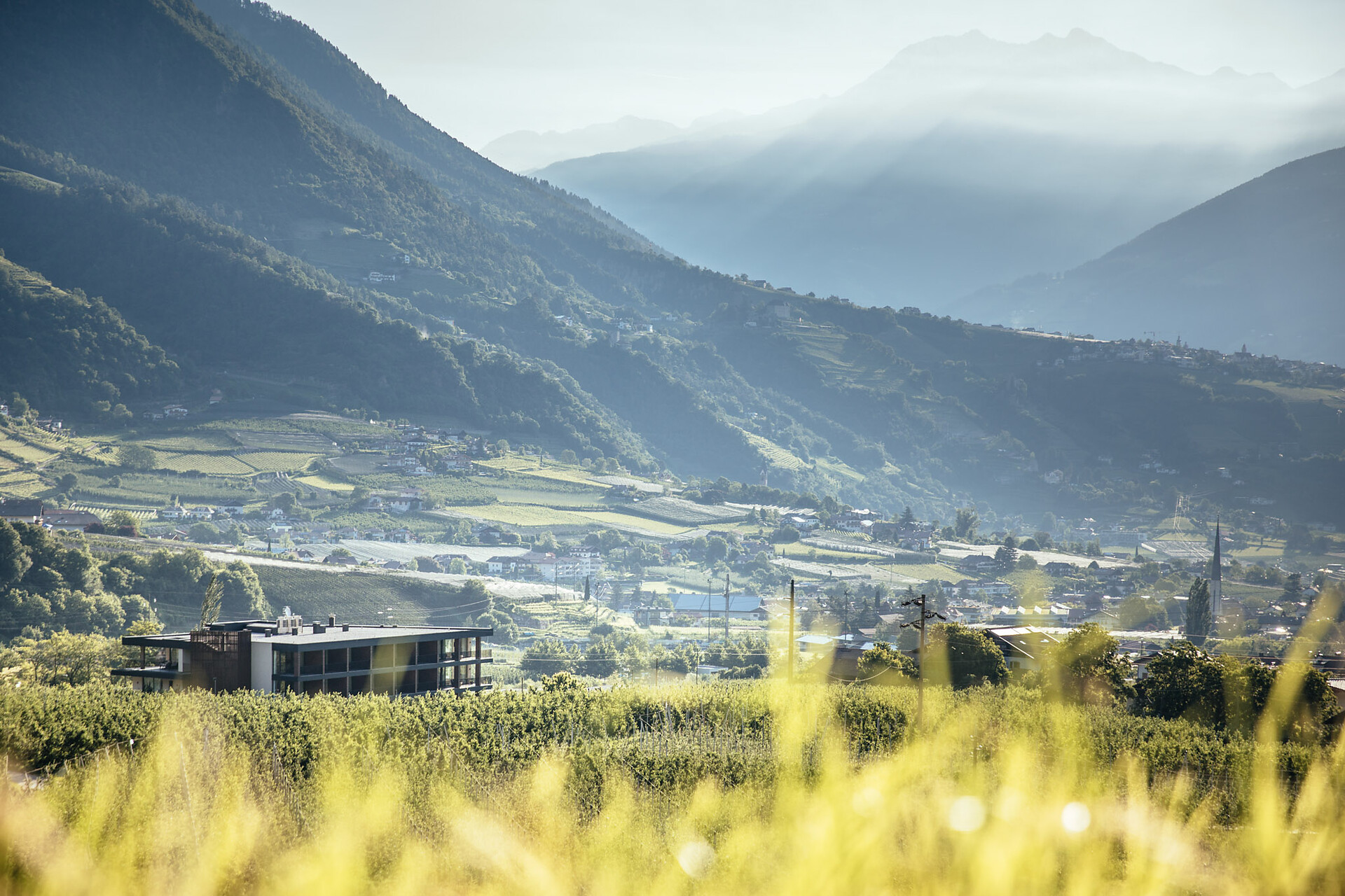 Der Forsterhof Algund/Lagundo 7 suedtirol.info