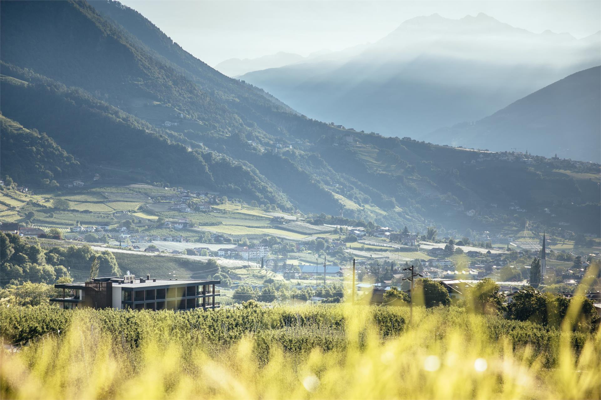 Der Forsterhof Algund/Lagundo 7 suedtirol.info
