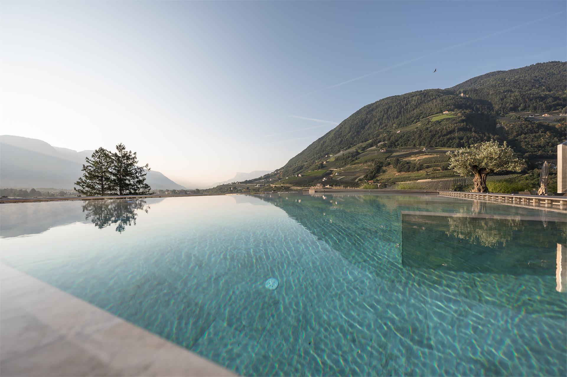 Das Dorner Lagundo 4 suedtirol.info