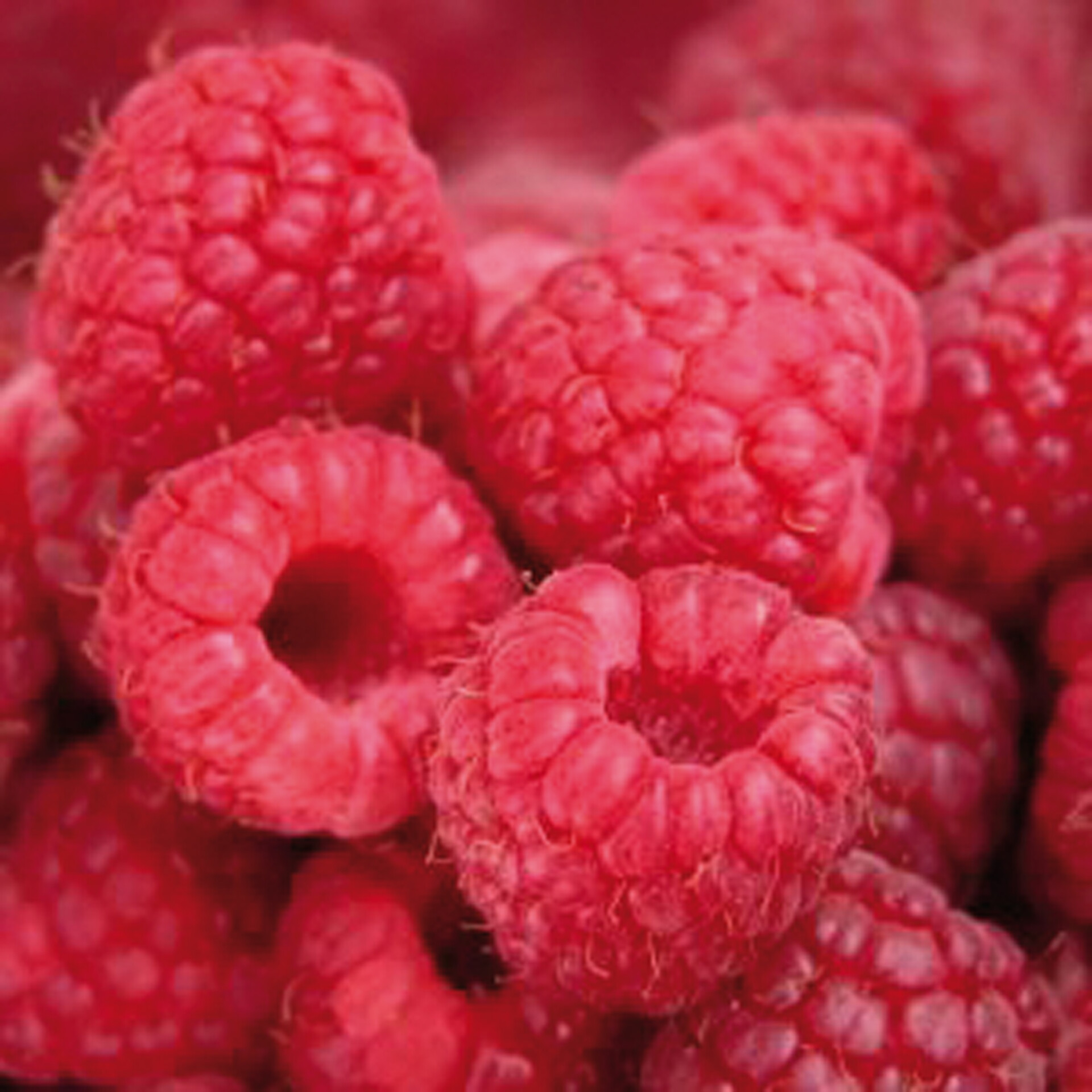 Raspberry