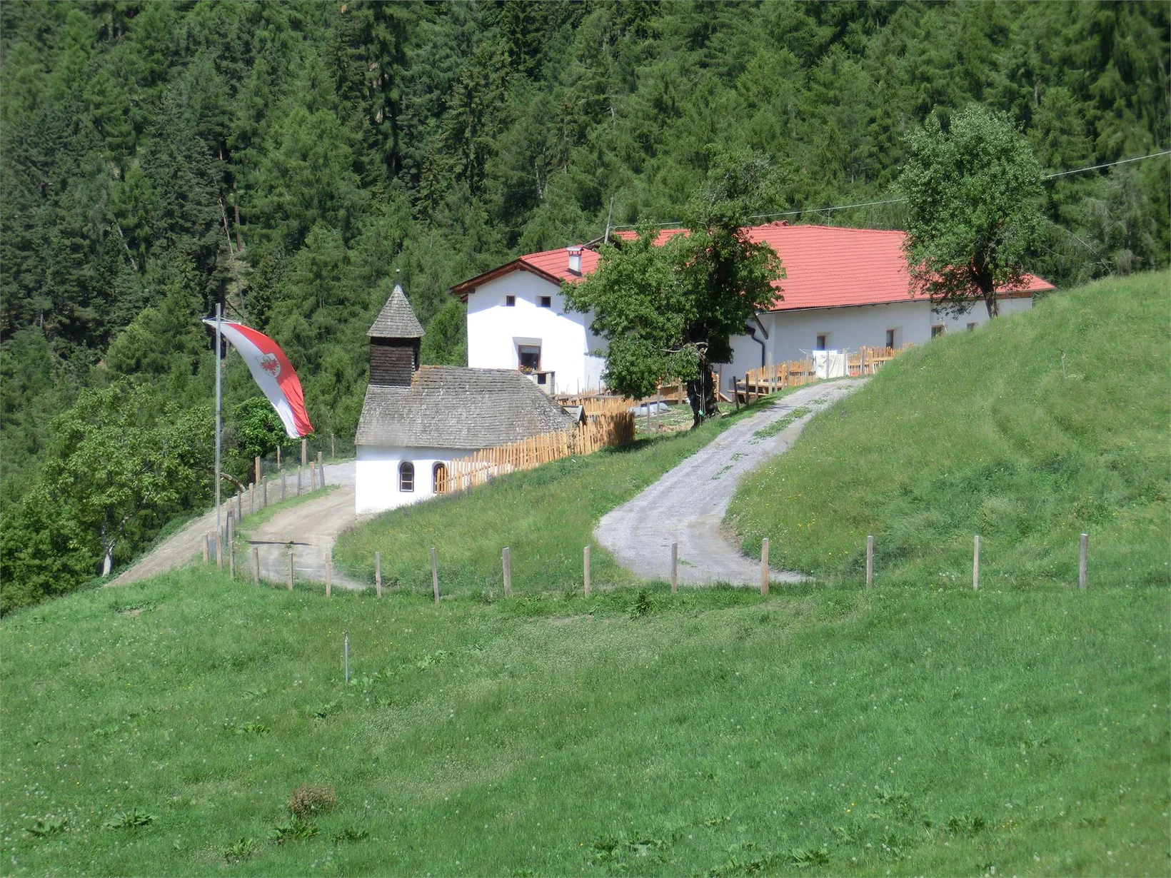 Slide 8