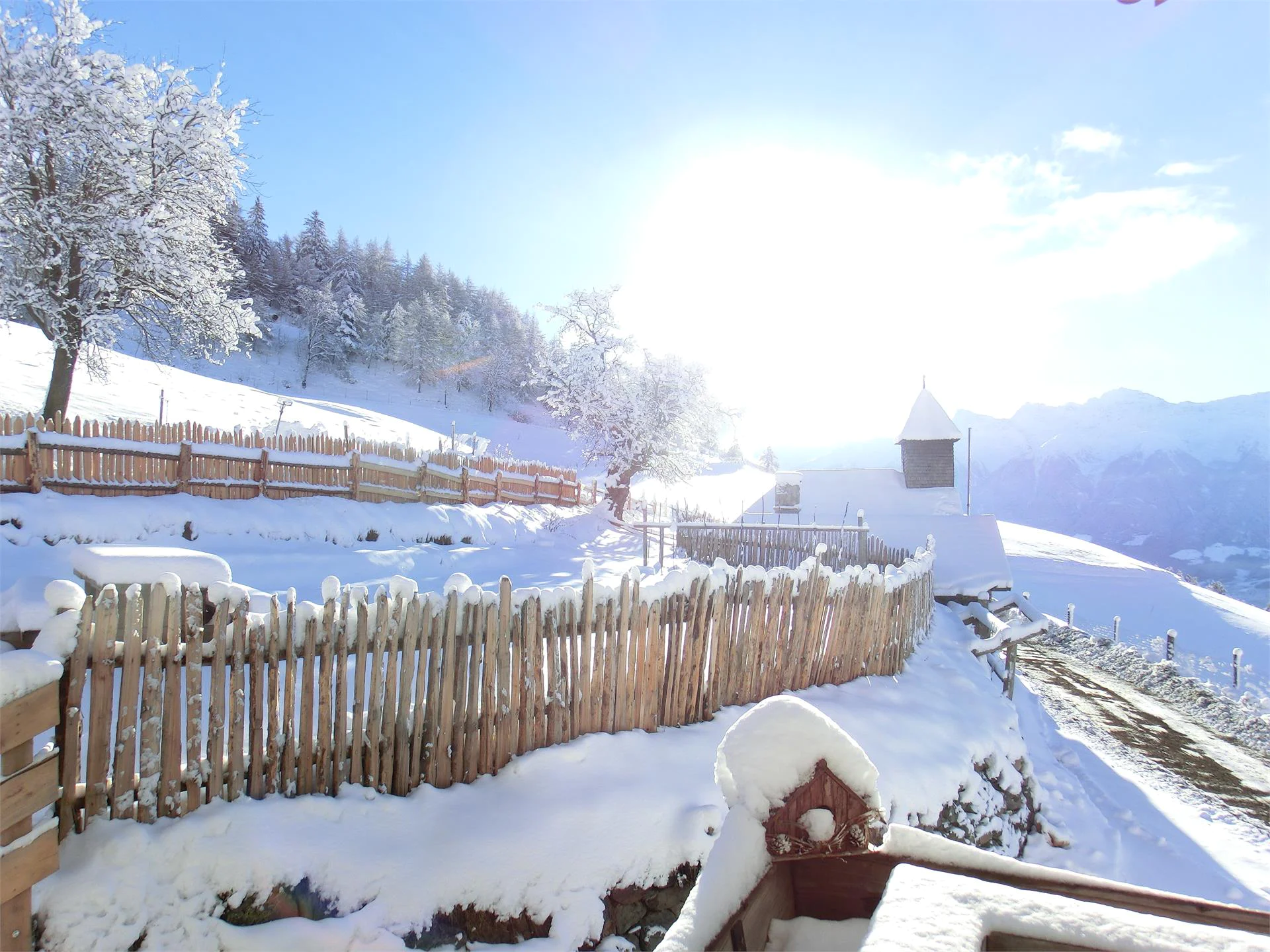 Der Bio Bergbauernhof Lechtlhof Malles 26 suedtirol.info