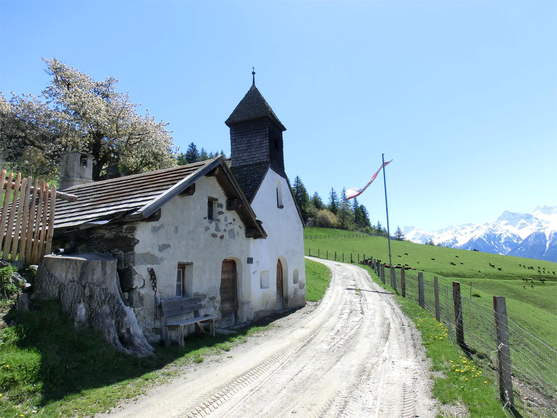 Der Bio Bergbauernhof Lechtlhof Malles 6 suedtirol.info