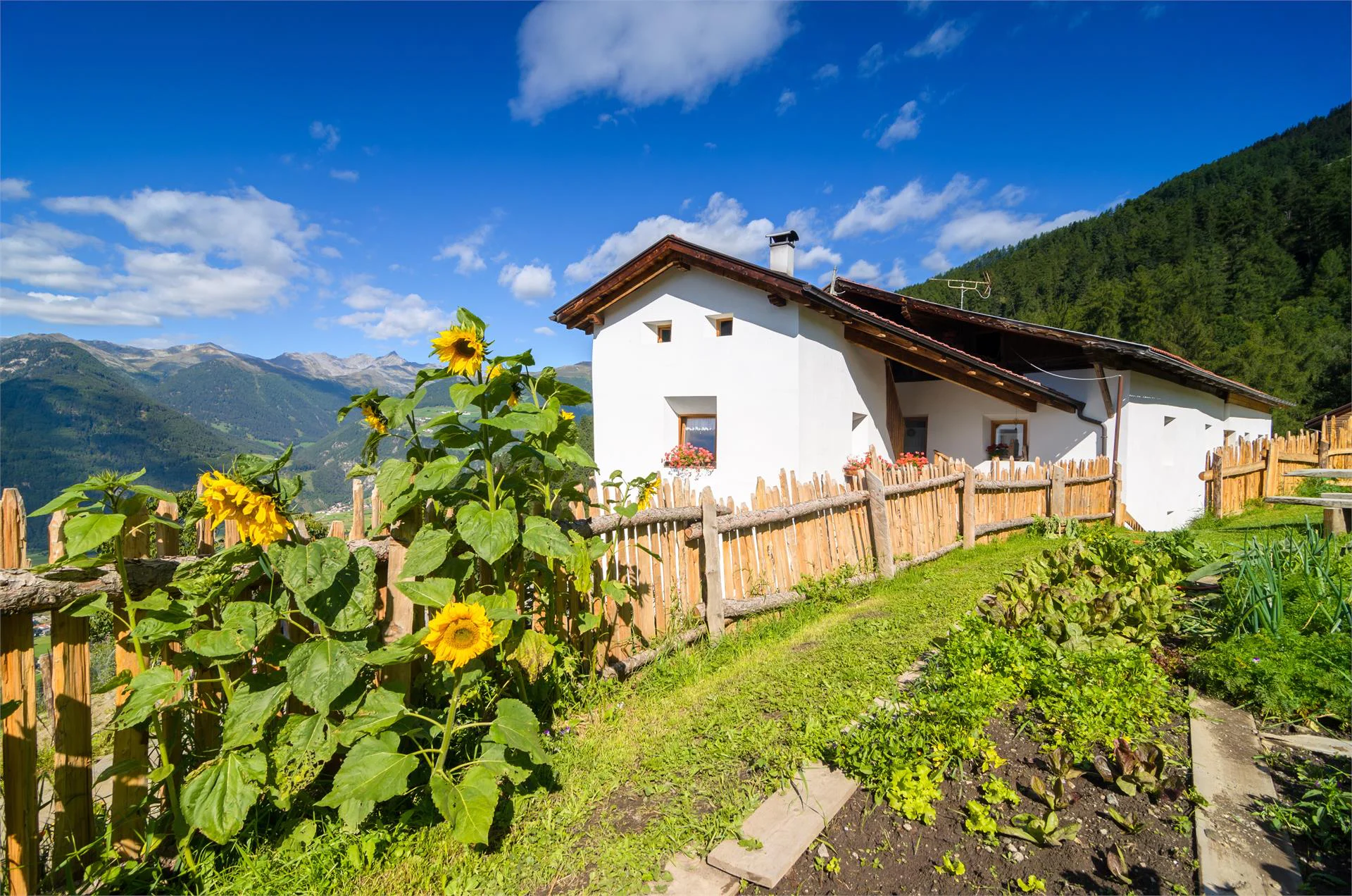 Der Bio Bergbauernhof Lechtlhof Malles 5 suedtirol.info